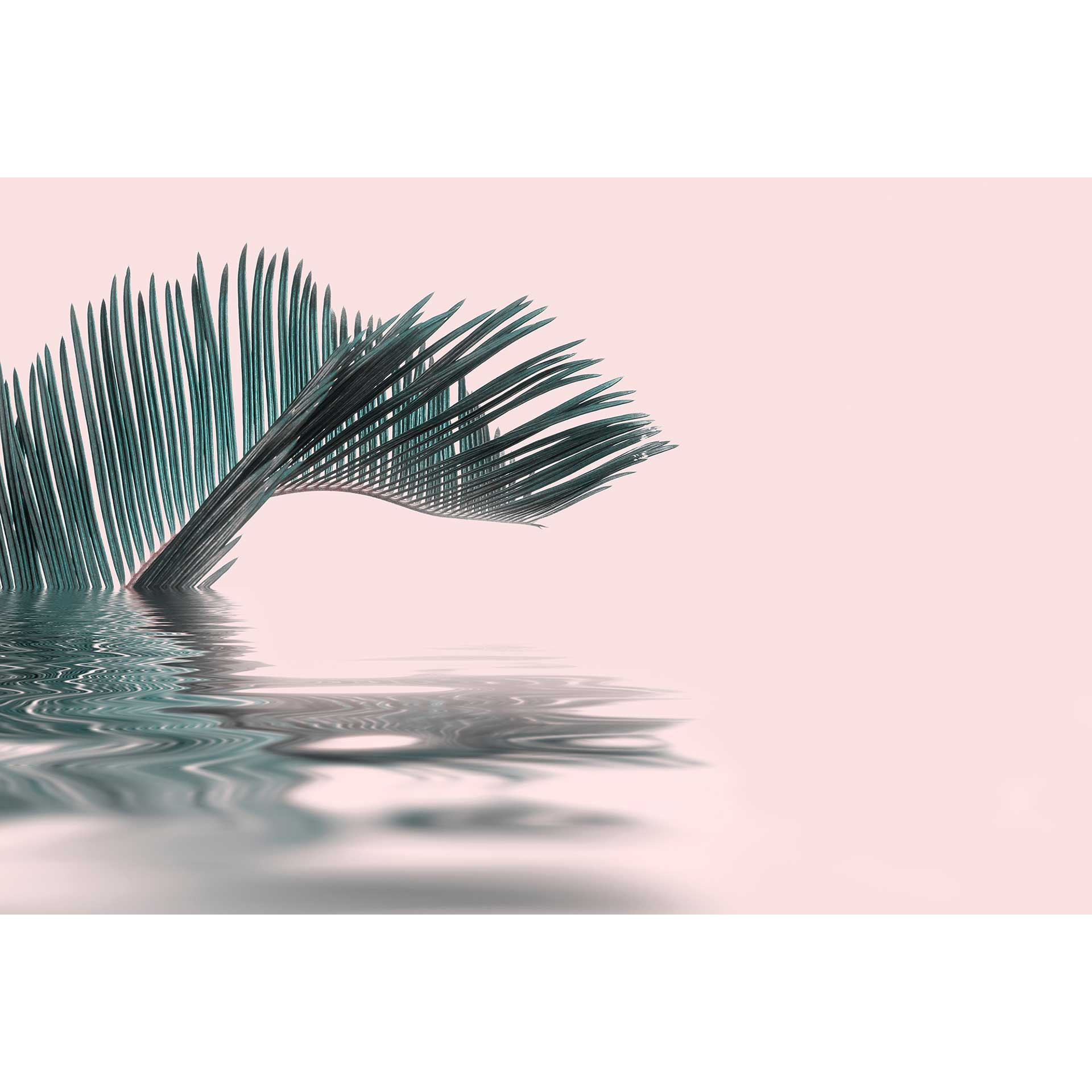 Livingwalls Fotobehang ARTist Palm Leaf Water