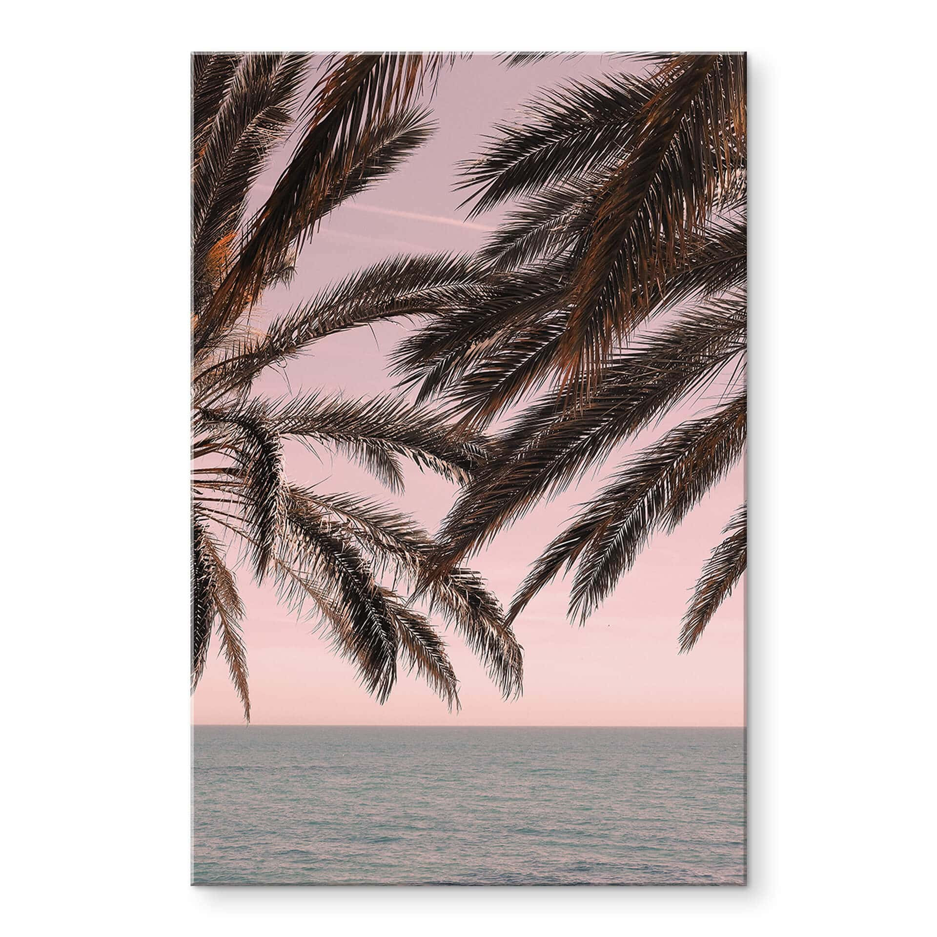 Acrylglasbild 1X Studio - Palmen