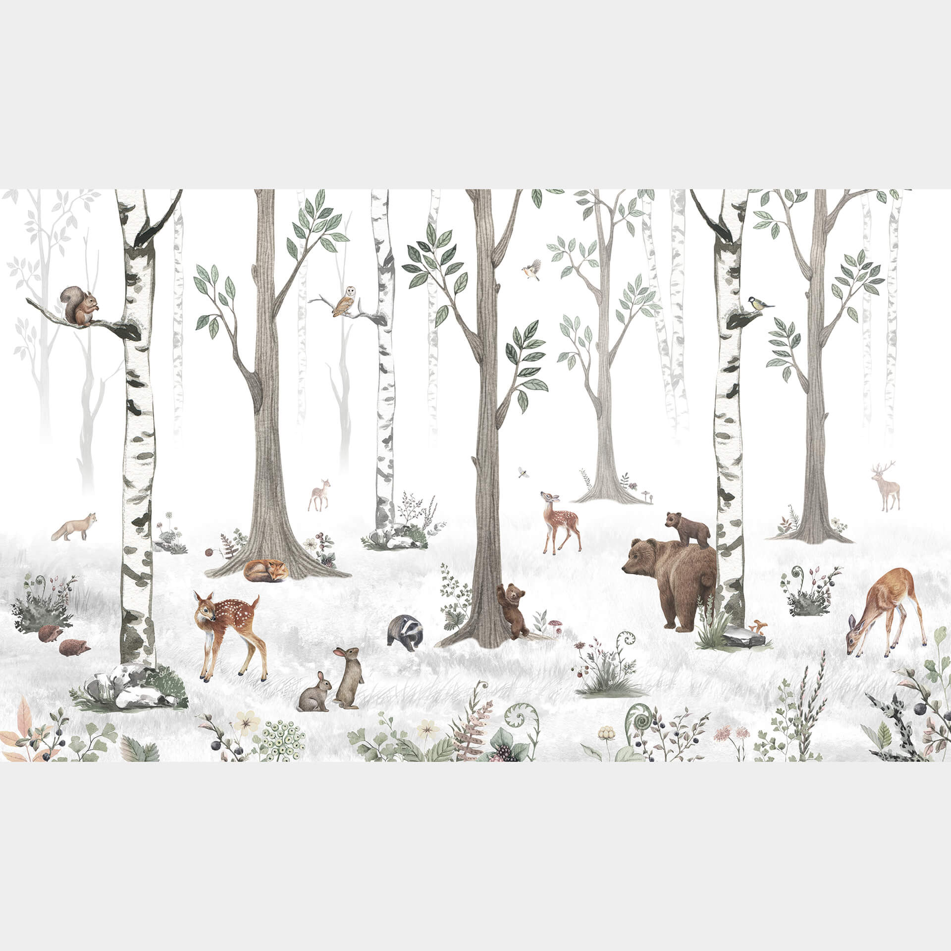 Fotobehang Kikki Belle - Forest Beauties