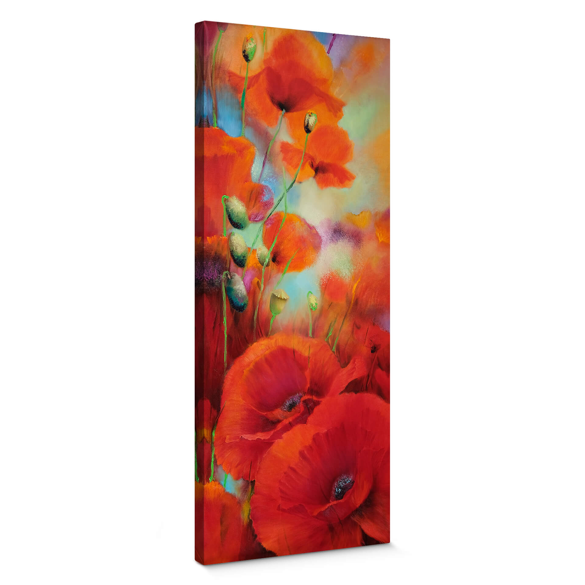Obraz na płótnie Schmucker - Poppy dream - Panorama