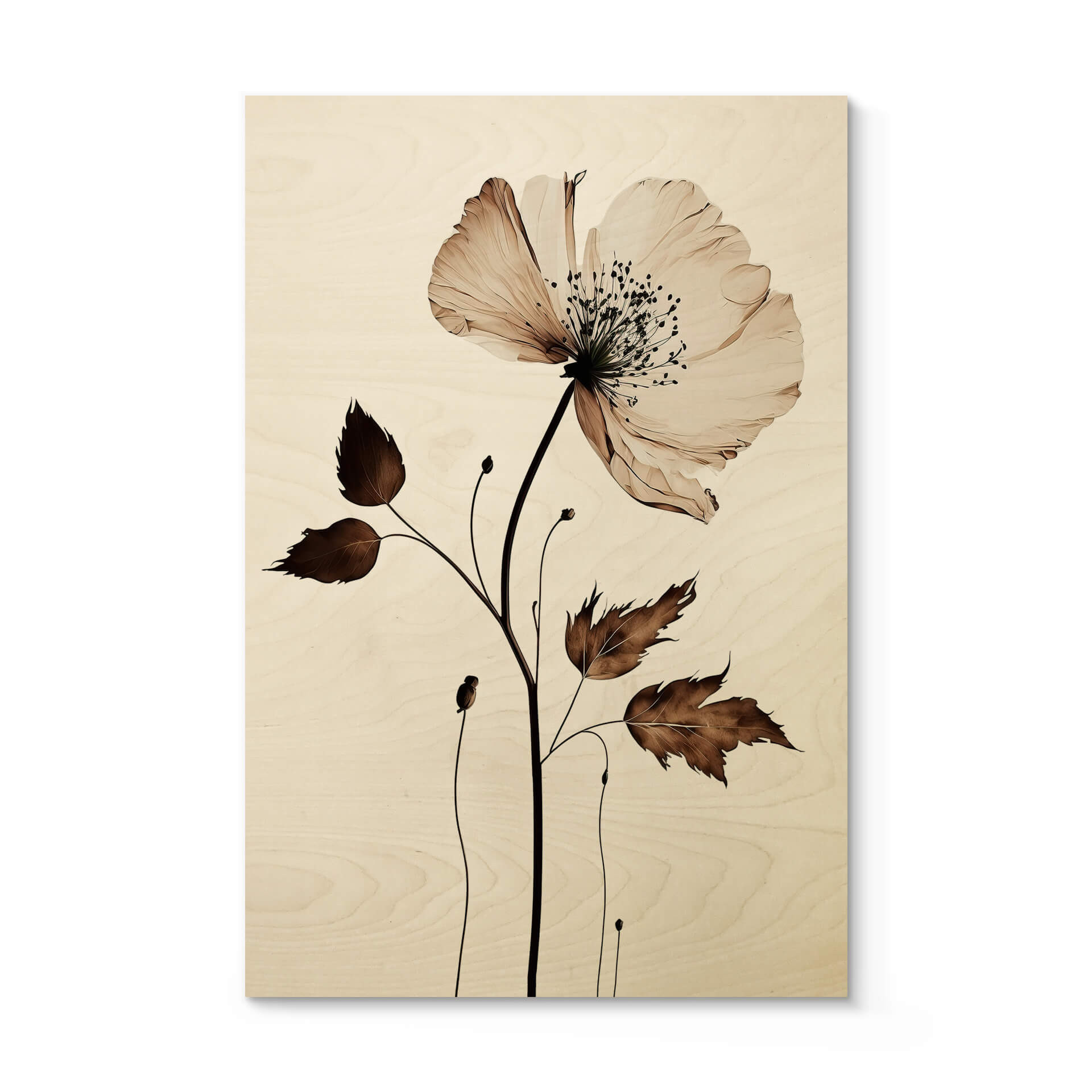 Plakat drewniany kwiaty - suszony kwiat w kolorze kremowym - Treechild