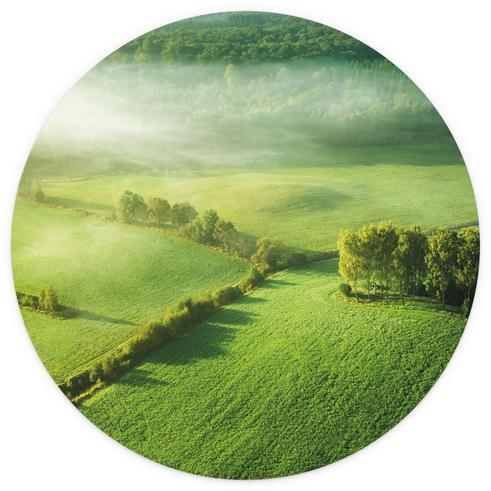 Fotobehang Landschap - Idyllische velden in de mist - Kelder - Rond - vliesbehang/zelfklevend vliesb