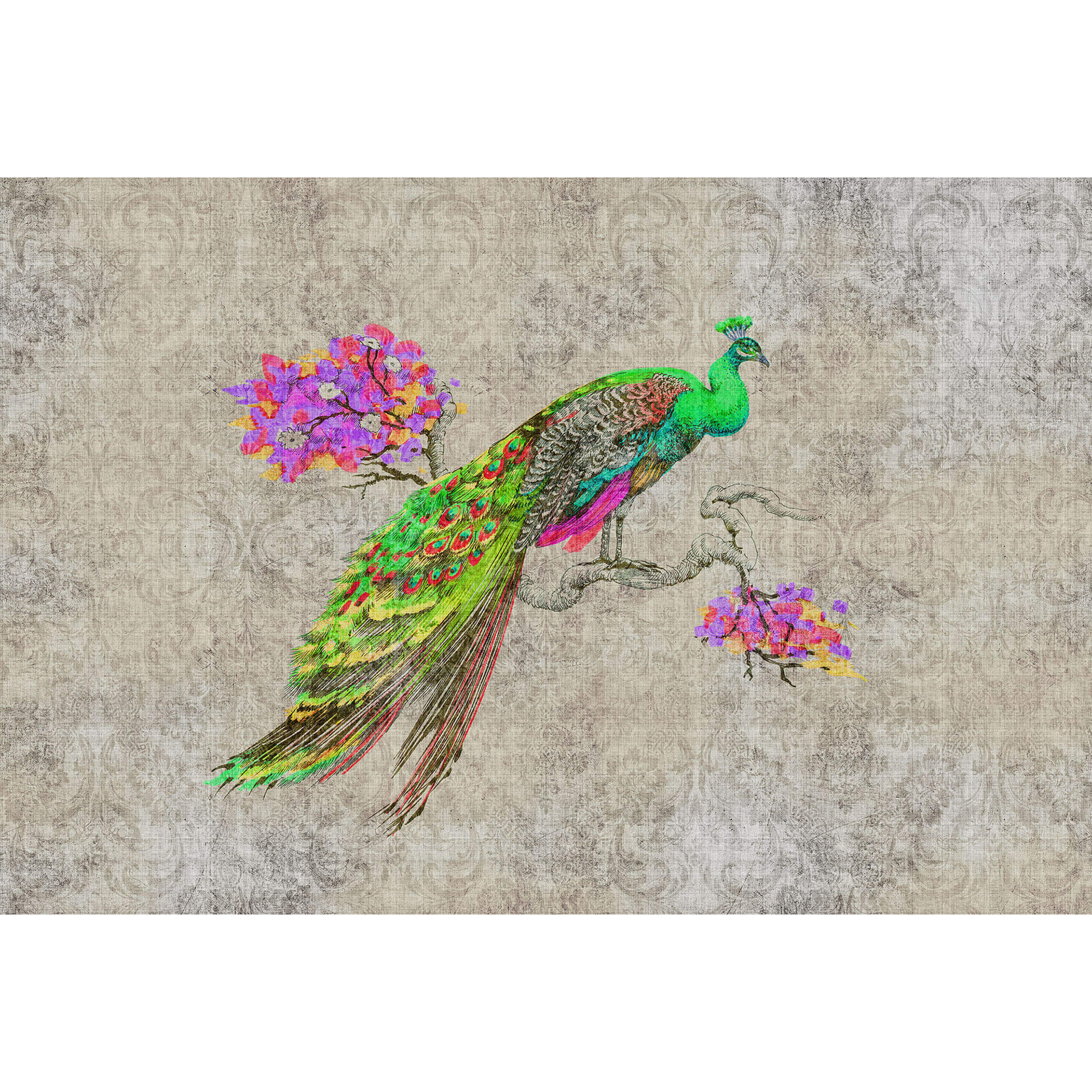 Livingwalls Fotobehang Walls by Patel 2 peacock 1