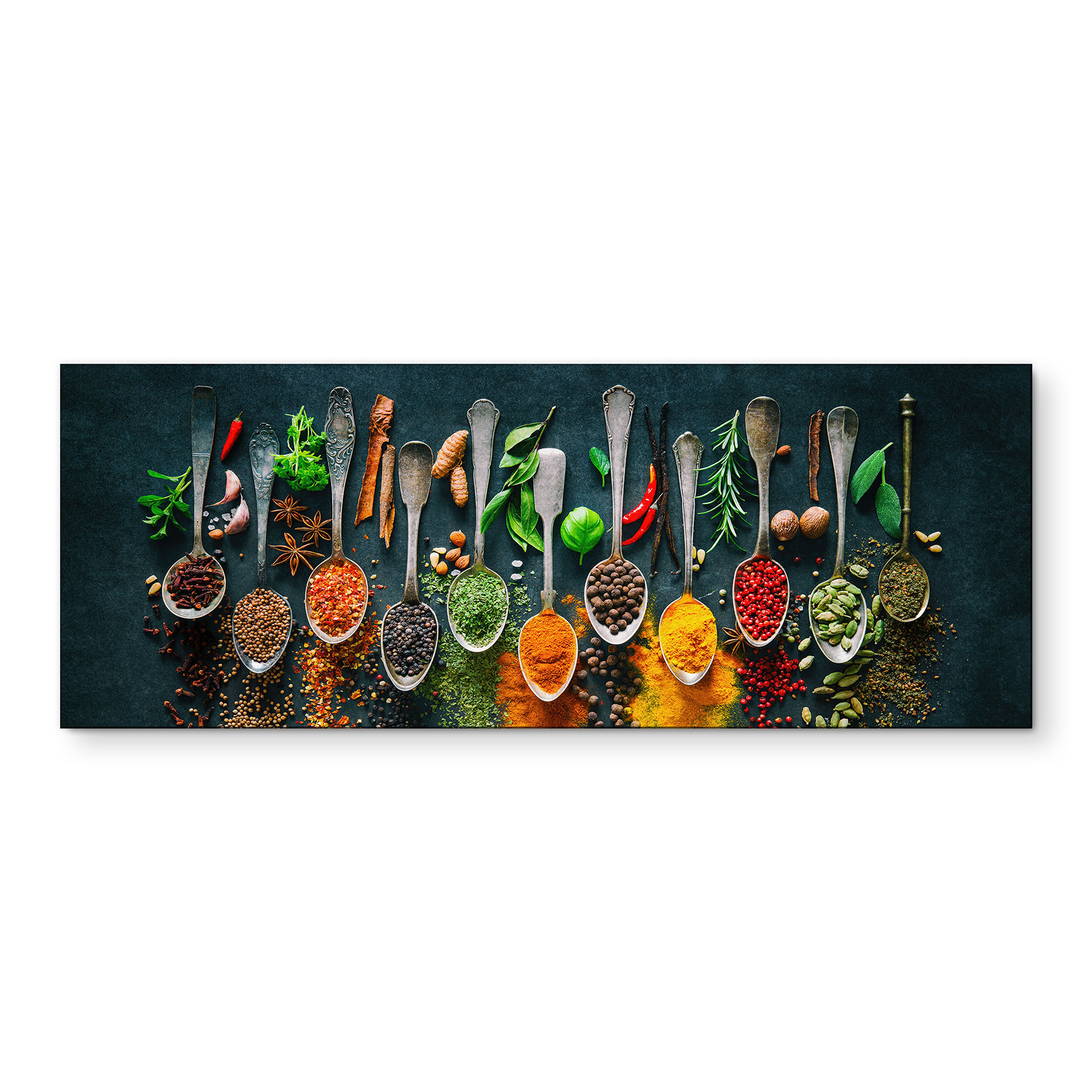 Wandbild Bunte Vielfalt an Gewürzen - Panorama - Alu-Dibond