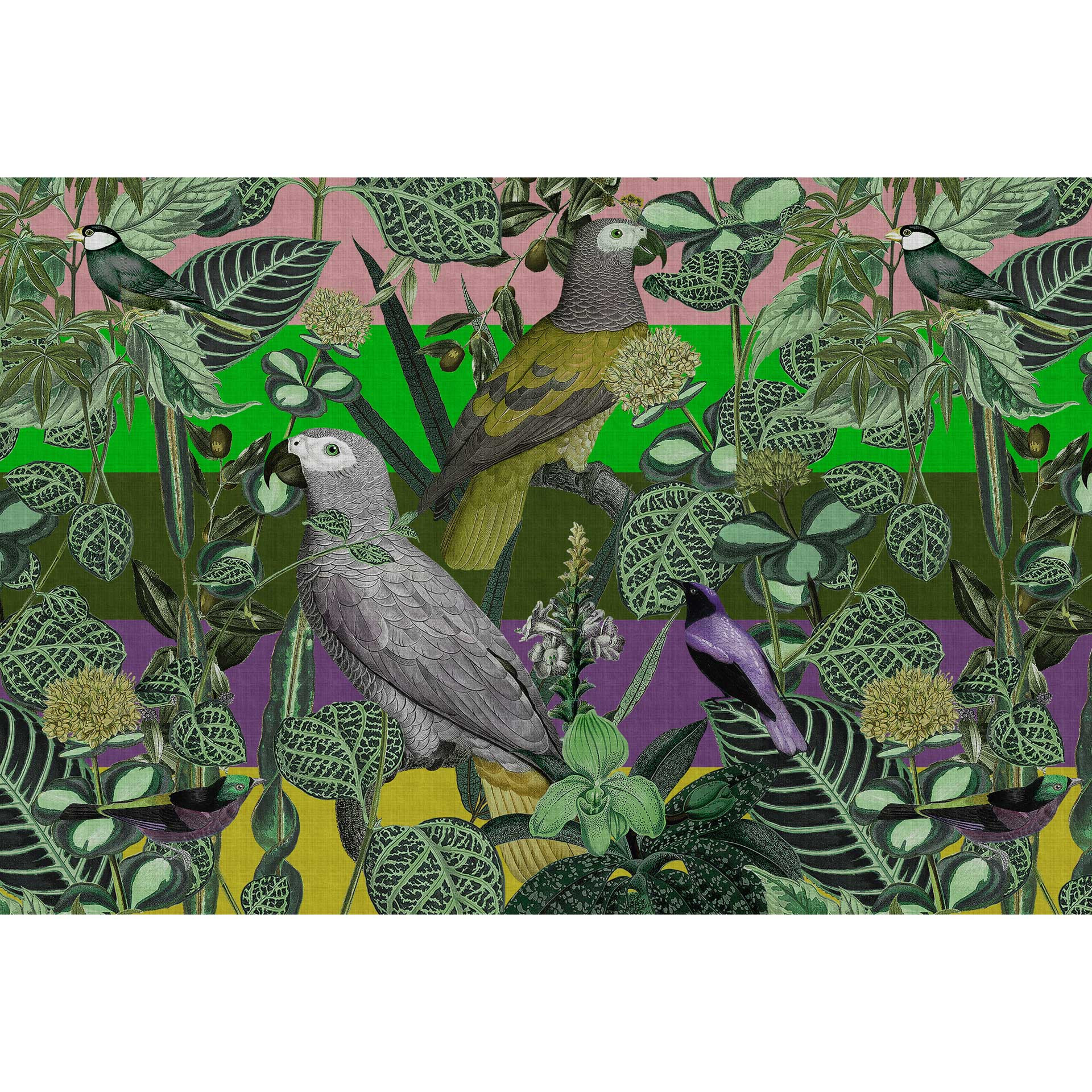 Papegaai behang in groene tinten met plantenmotief - vliesbehang