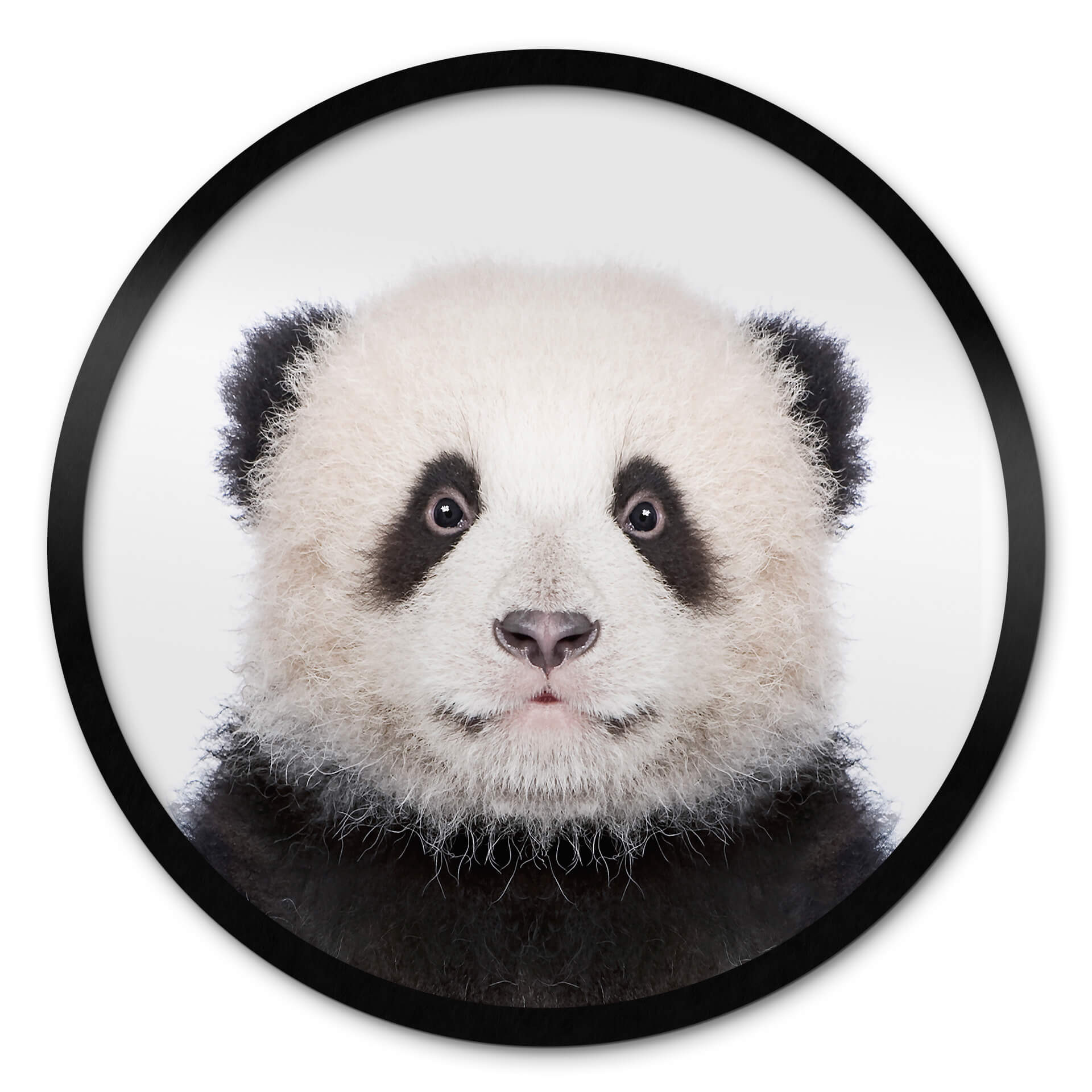 Poster rond Sisi & Seb - Baby Panda