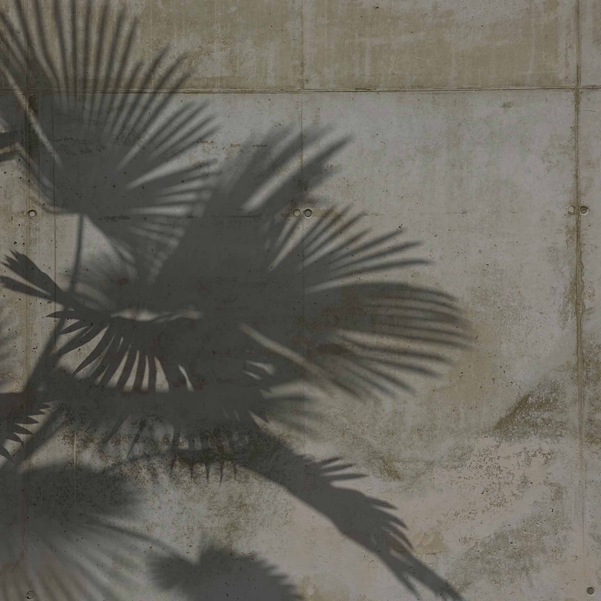 ShadeOfPalm2 in grijsgroen - vliesbehang Designwalls 2 - 2,55 x 3,5 m