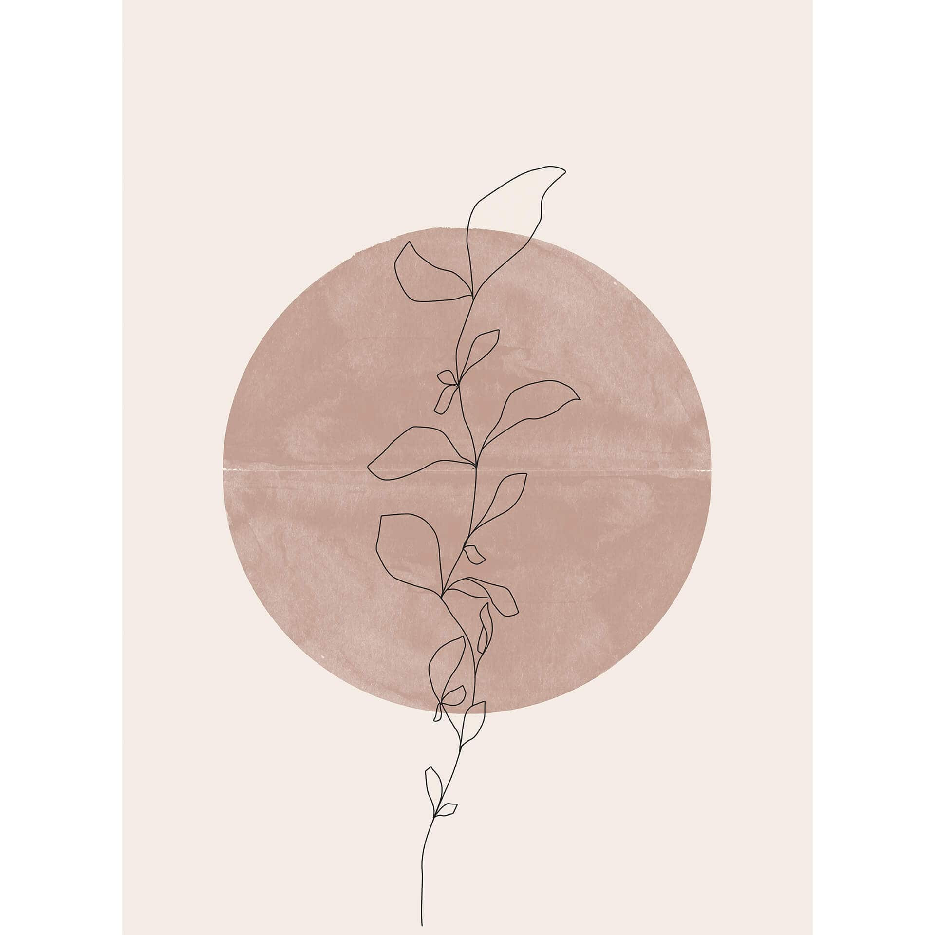 Fotobehang Miuus Studio - Line Art - Abstracte Plant bij Volle Maan