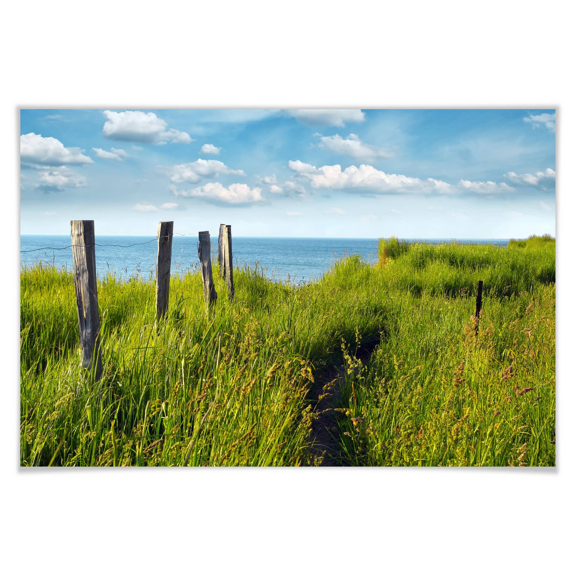 Poster - Chemin vers la mer