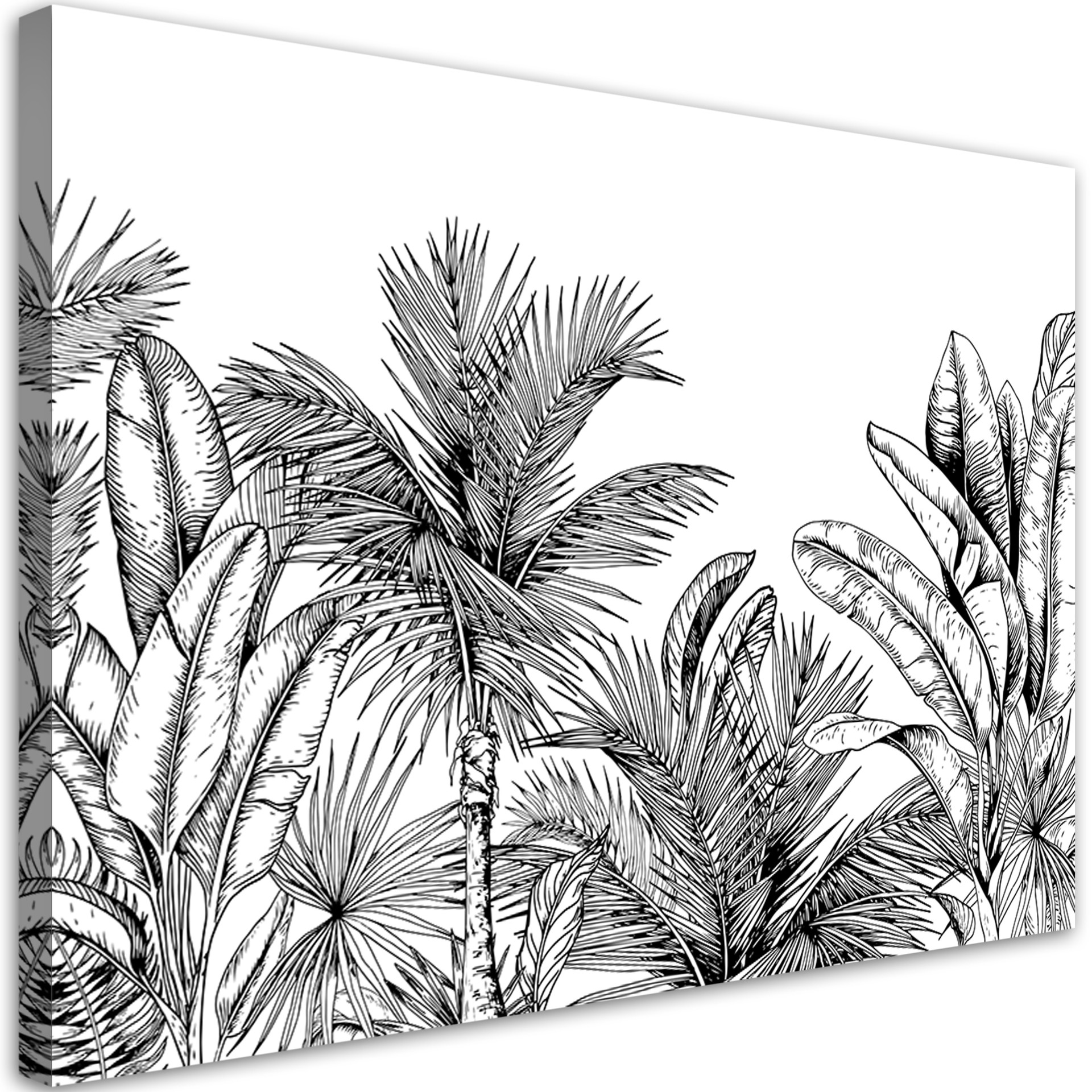 Canvasbillede, grå palmeblade planter