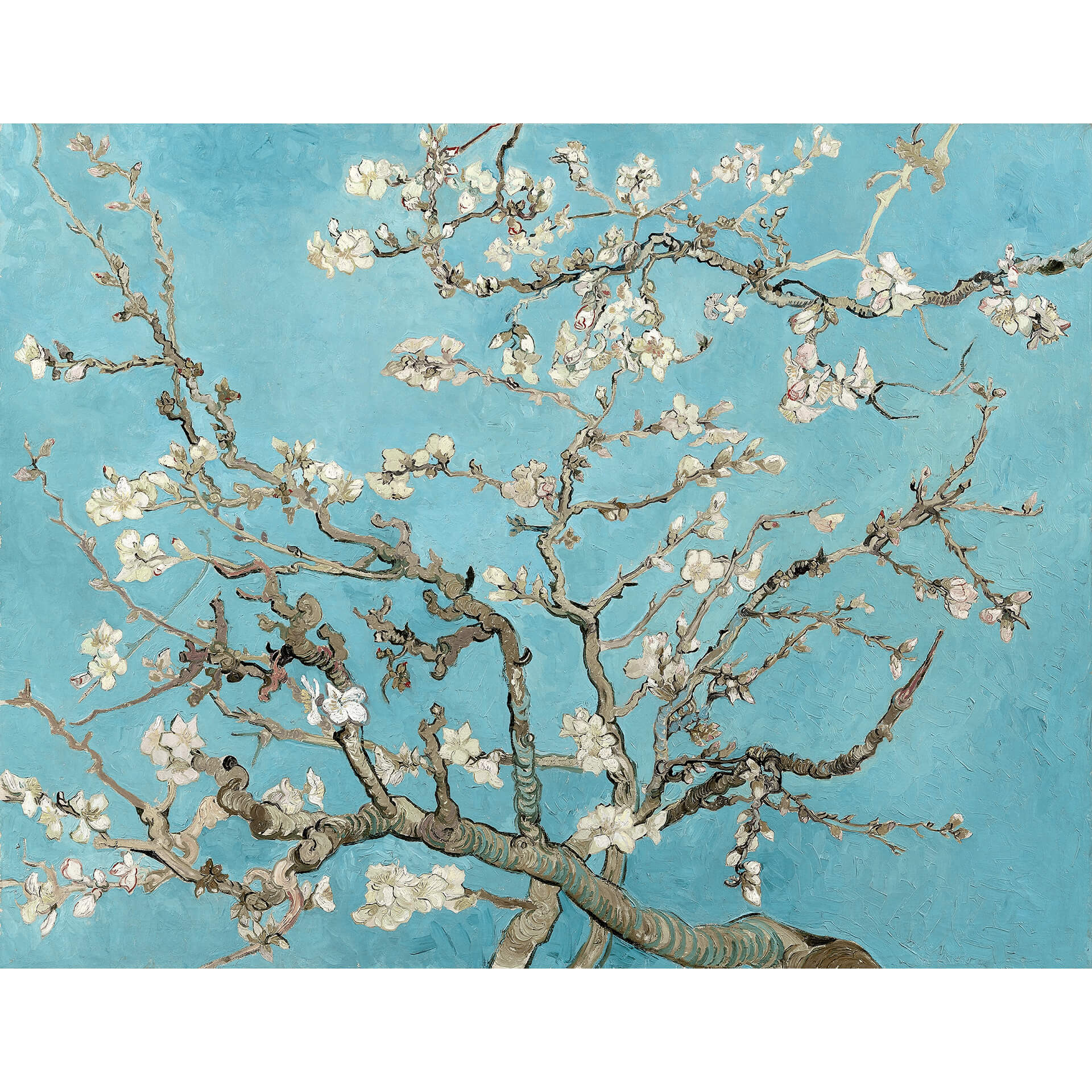 Fotobehang van Gogh - Amandelbloesem