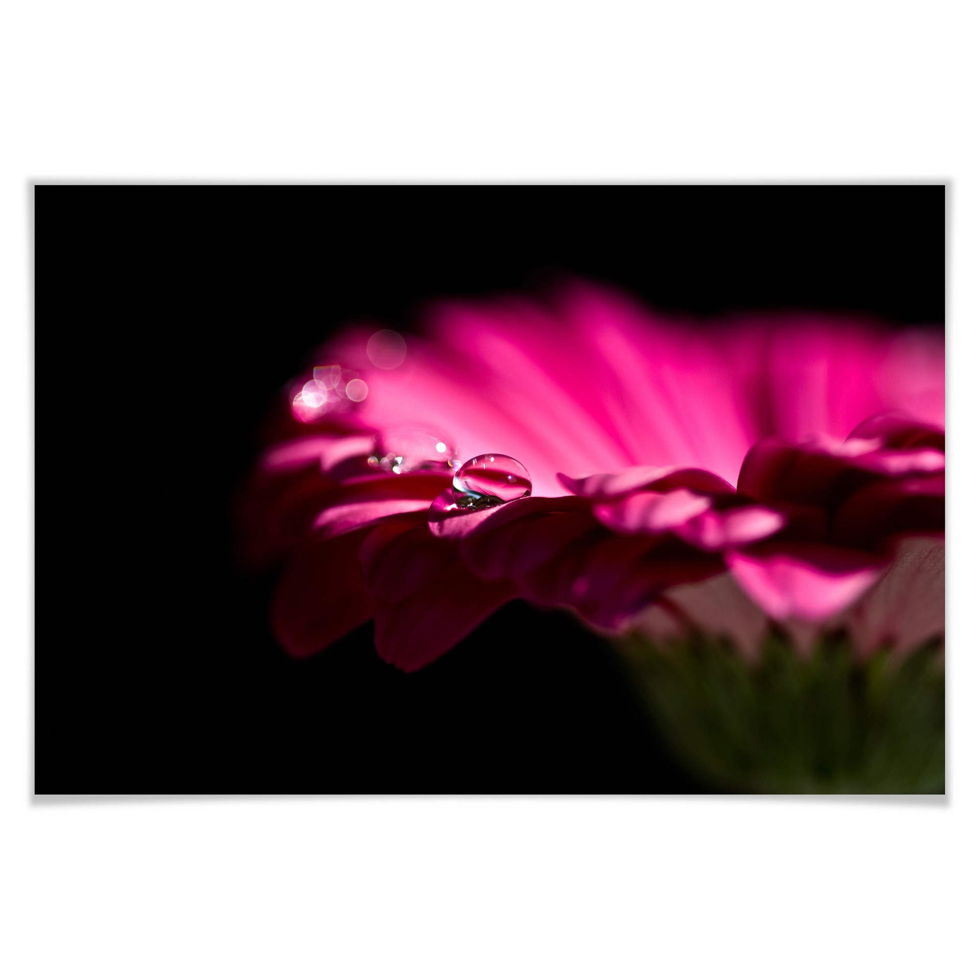 Poster - Waterdrop of Life