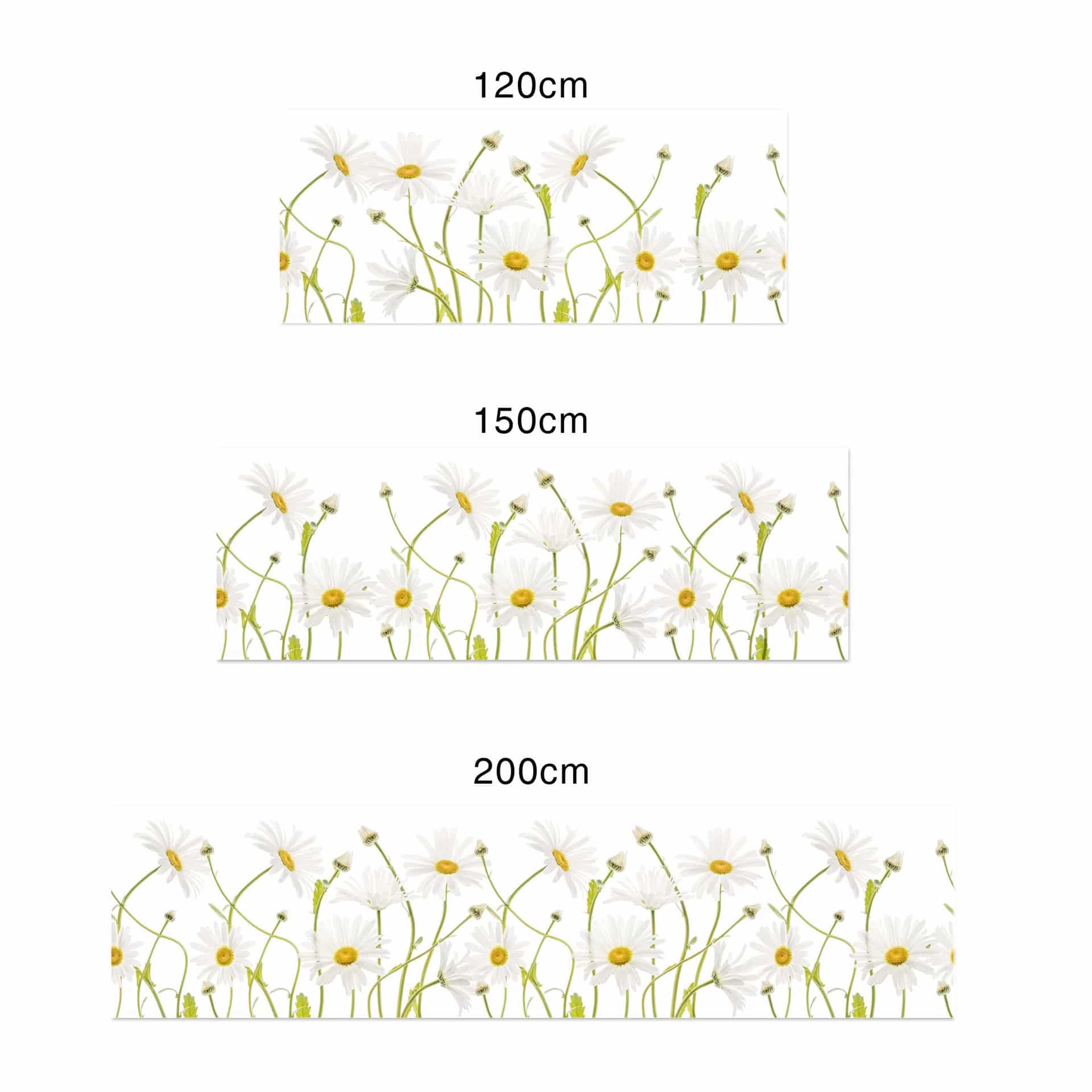 Küchenrückwand - Alu-Dibond - Disher - Ox eye Daisies