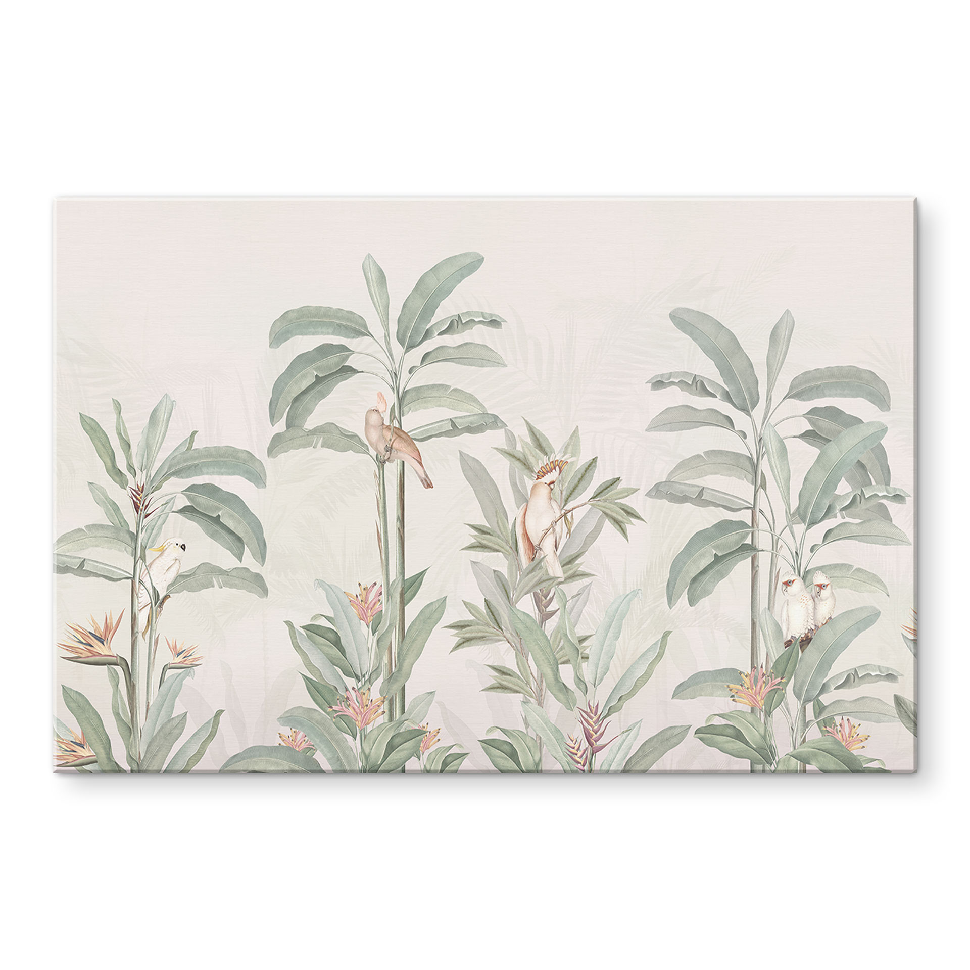 Tropisk skov med kakaduer - Bloomery Decor – print på aluminium (Alu-Dibond)