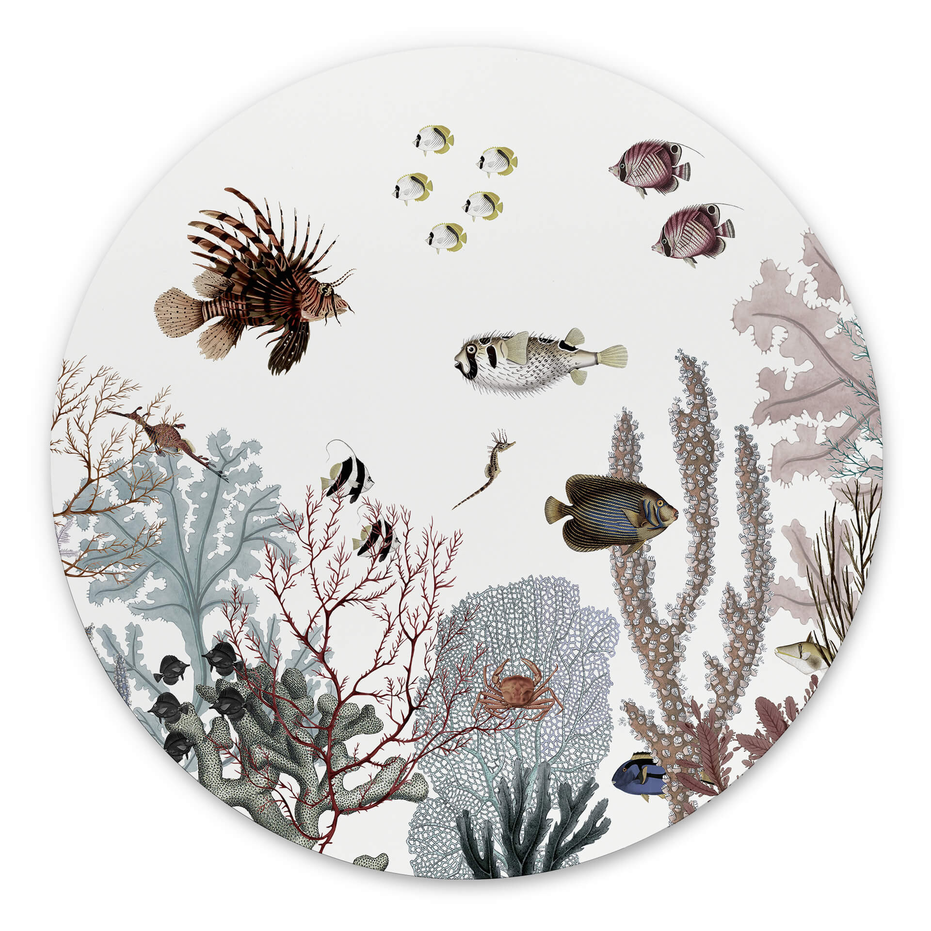 Tableau sur alu-Dibond rond Sir Edward - Récif rugissant