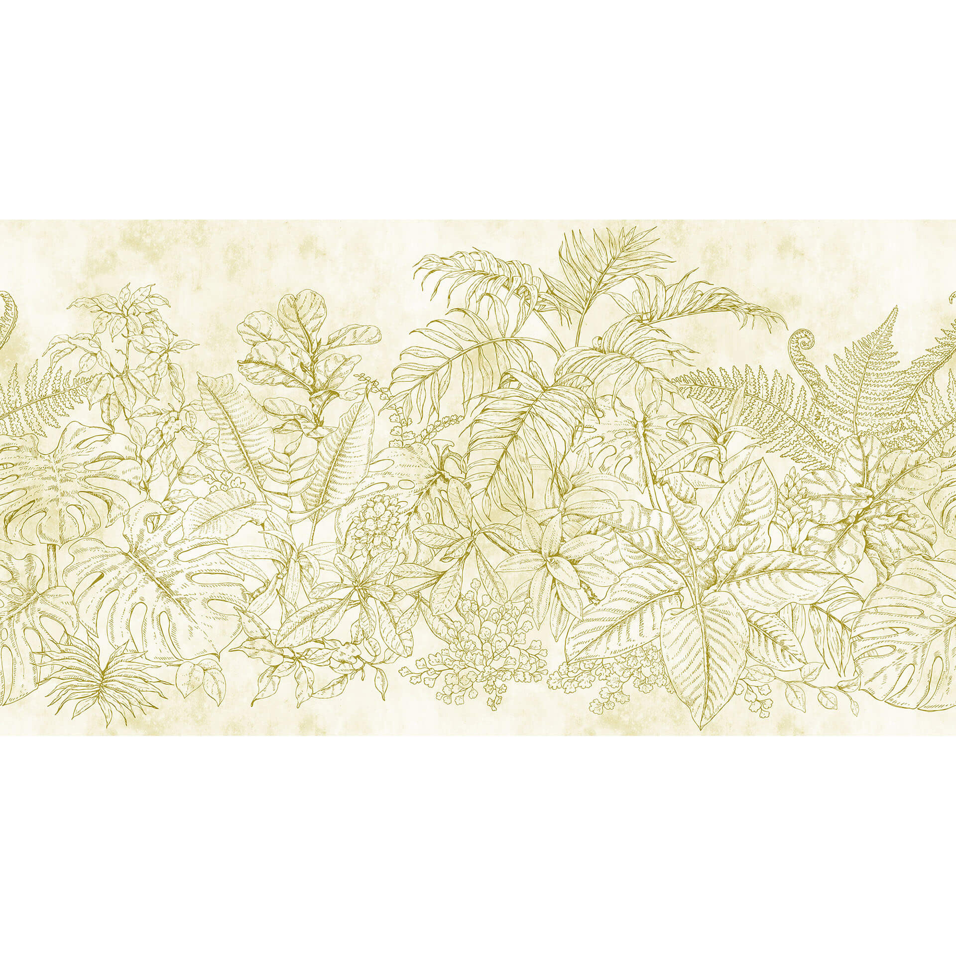 Livingwalls Fotobehang Walls by Patel fern garden 1