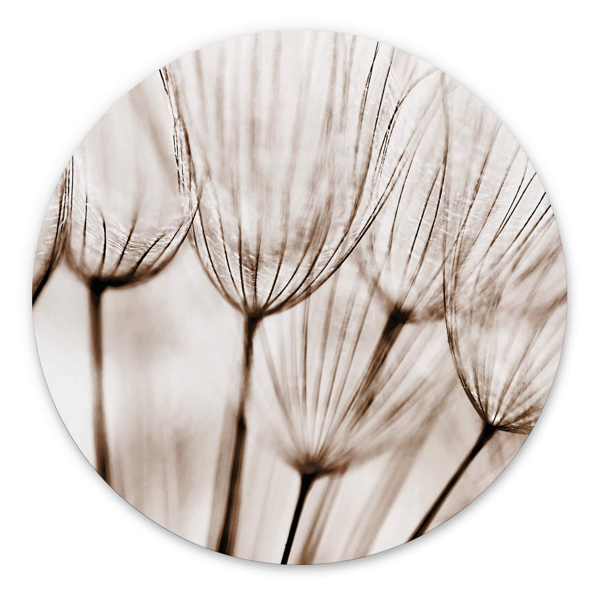 Tableau sur alu-Dibond rond Parapluie d'aviateur
