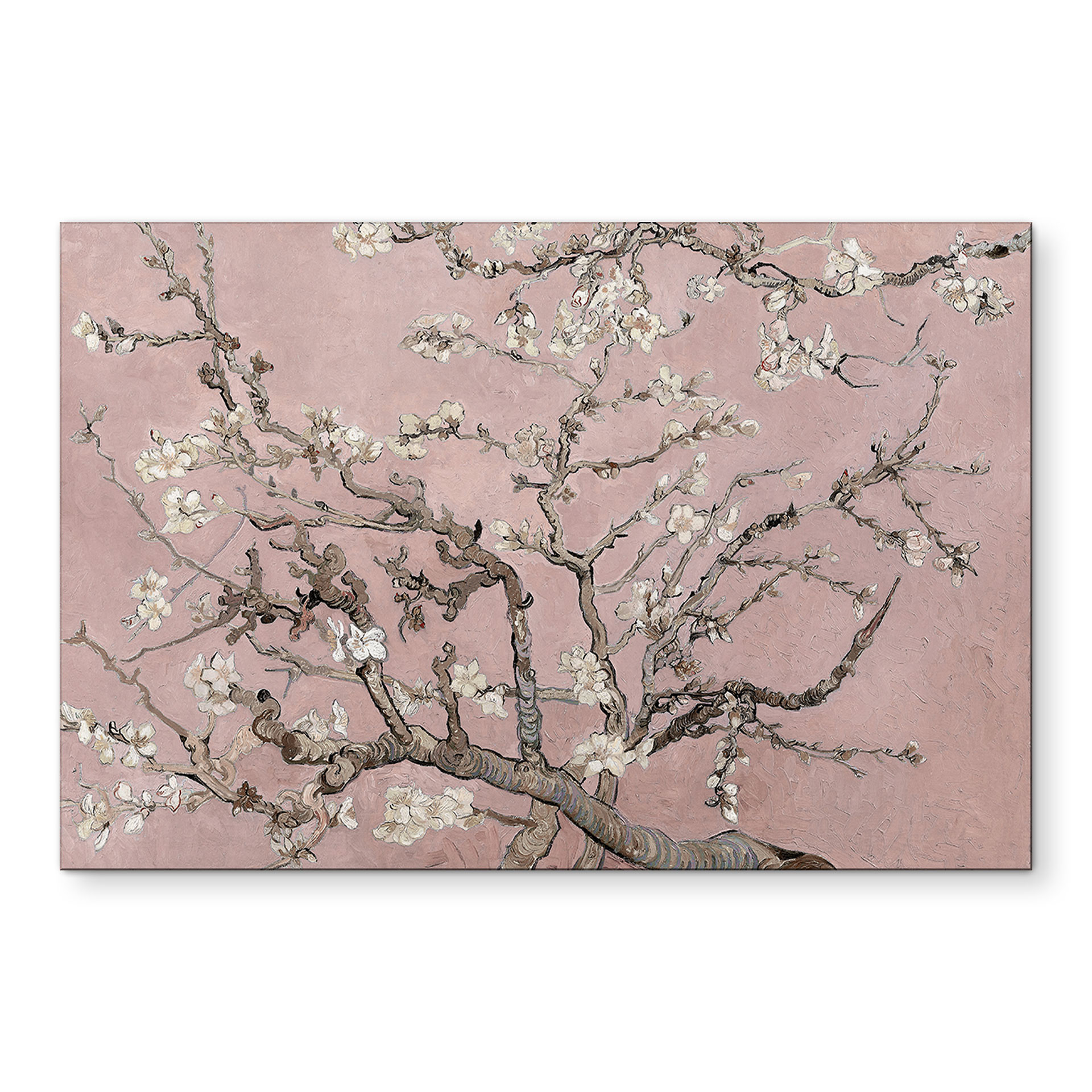 Wandbild van Gogh - Mandelblüte - rosé - Alu-Dibond