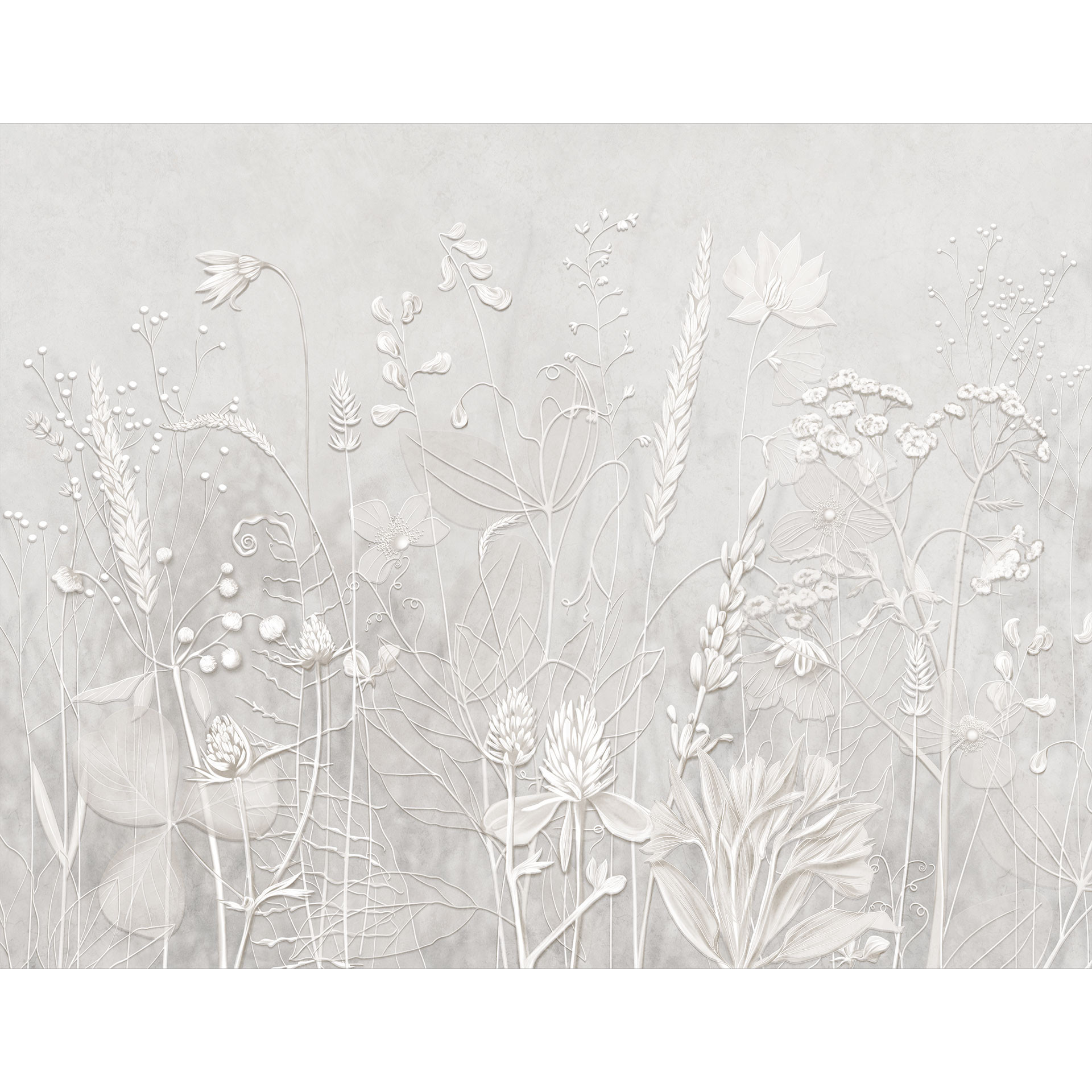 Bloemen Fotobehang - planten in wit in een modern ontwerp - Ms Tiff