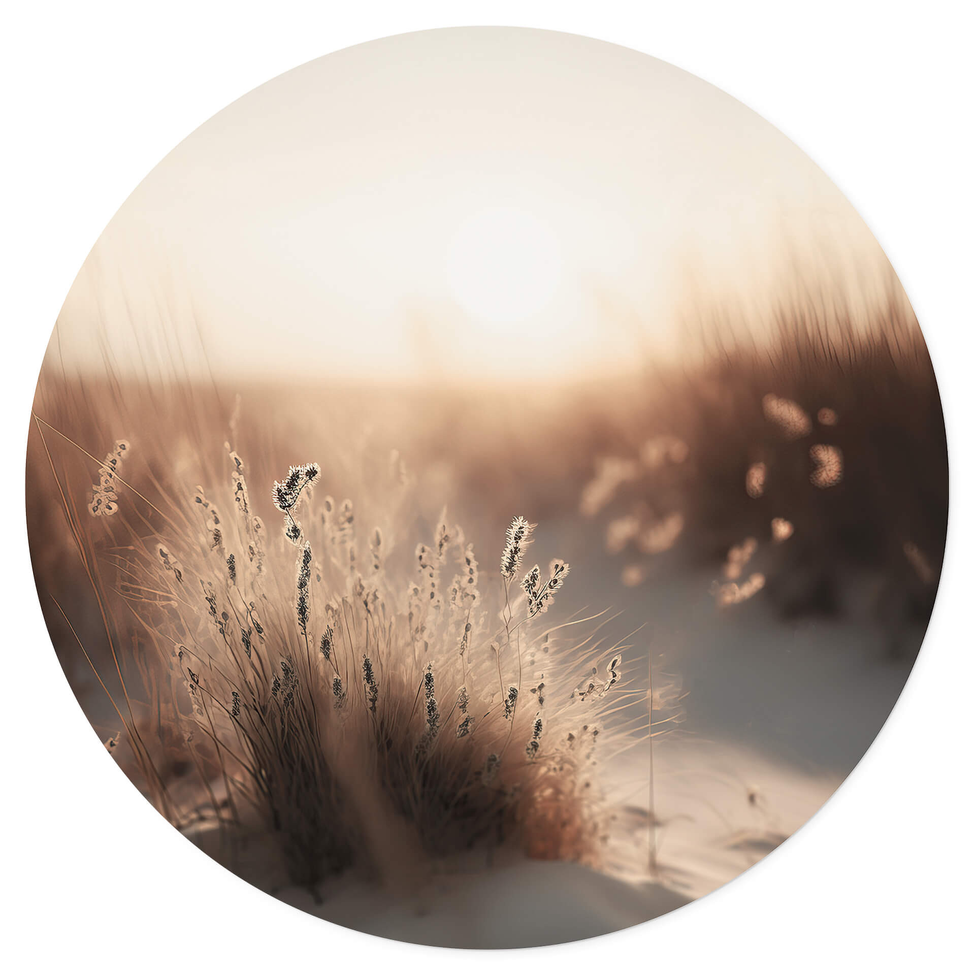 Naklejka na ścianę Treechild - Zachód słońca nad wydmami - Okrągła
