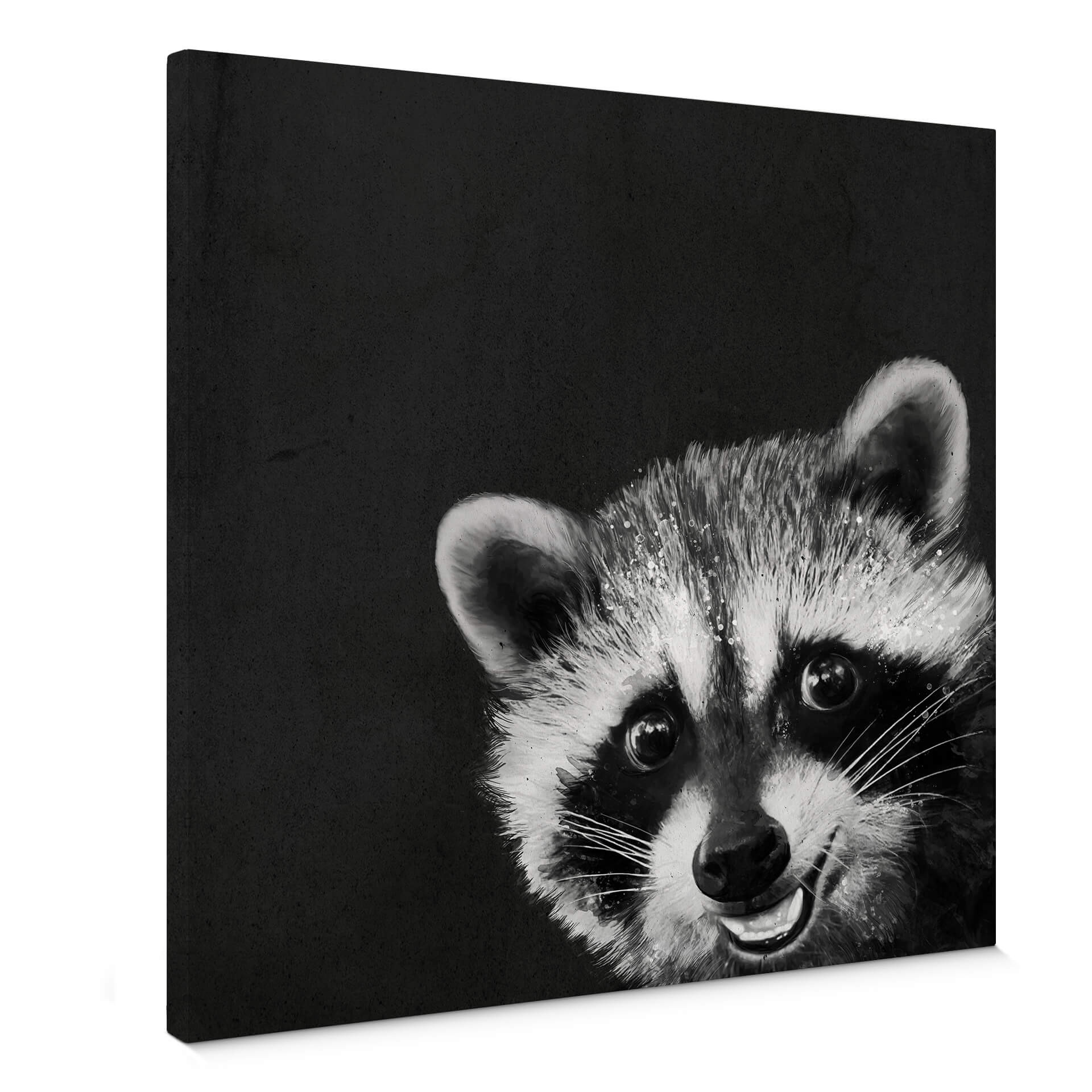 Obraz na płótnie Graves - Racoon