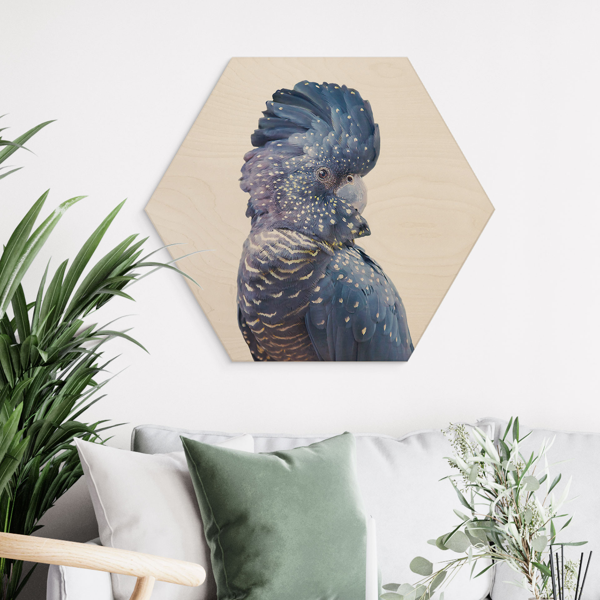 Hexagon Hout berkenfineer - Sisi & Seb - Blauwe Kaketoe