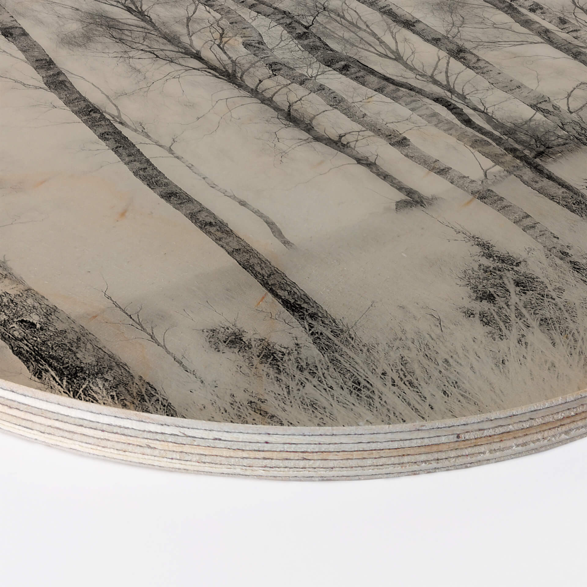 Stampa su legno Talen - Betulle - tondo