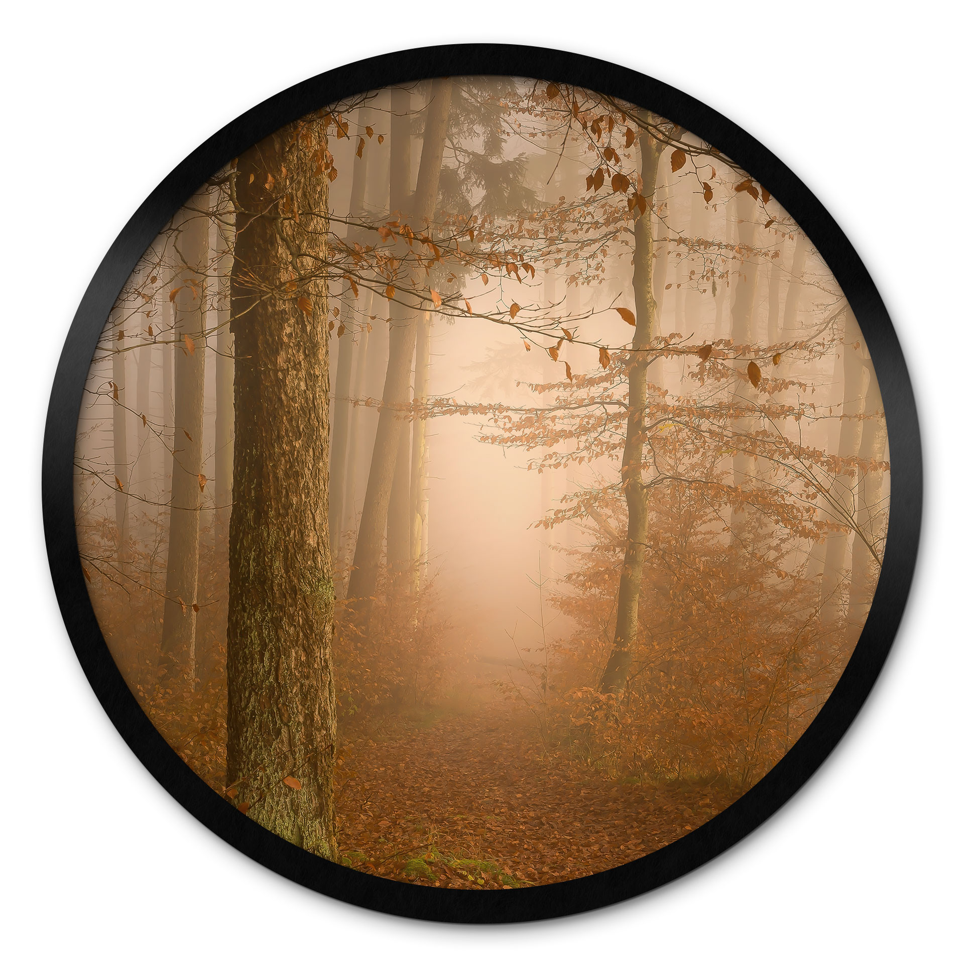 Poster Brume et lumière dans la forêt d'automne - Maier - Rond
