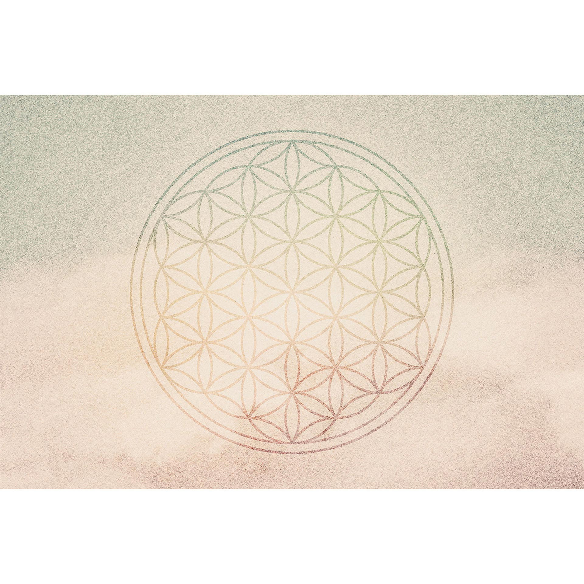 Architects Paper Fotobehang Atelier 47 Flower of Life