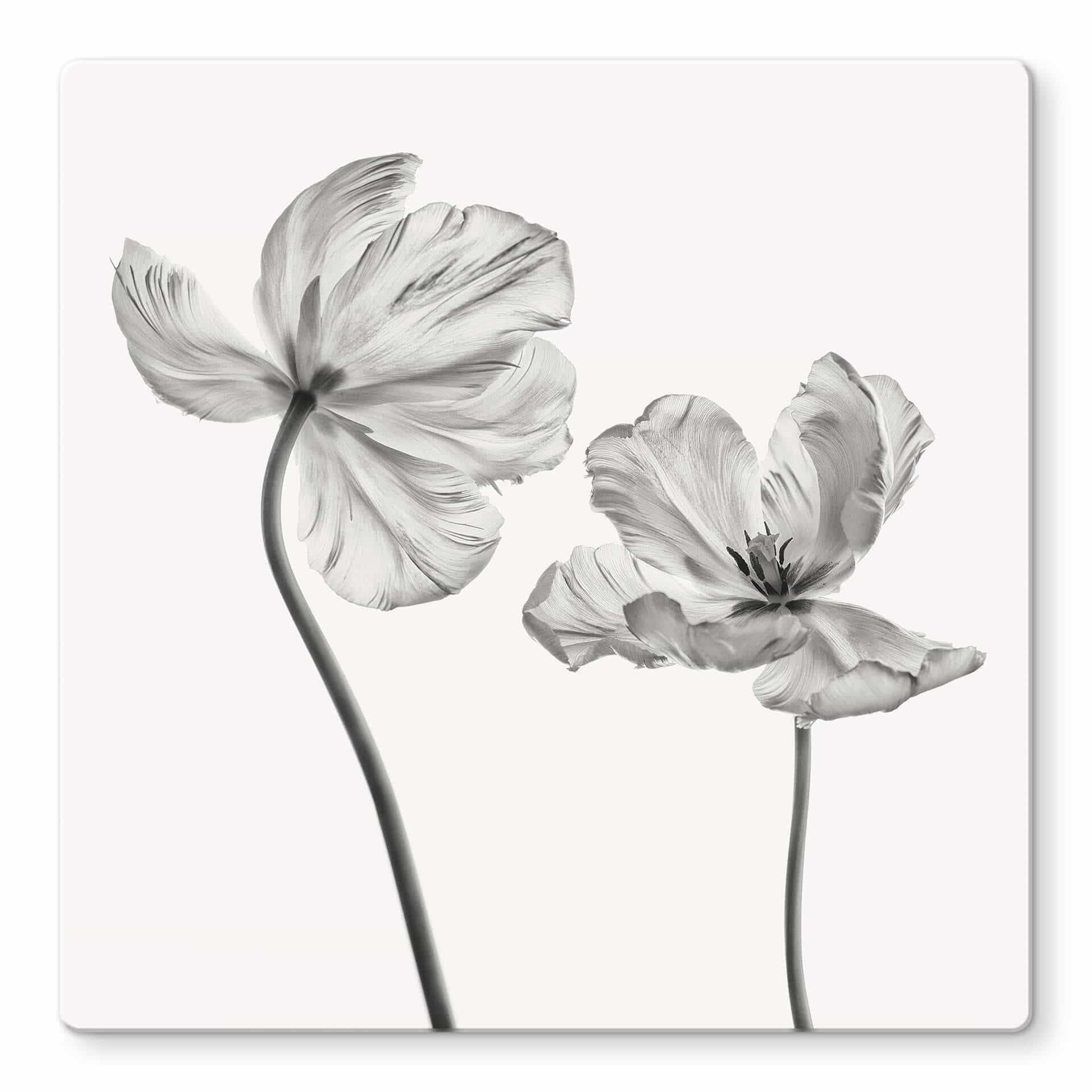 Tableau en verre Grønkjær - Tulipes