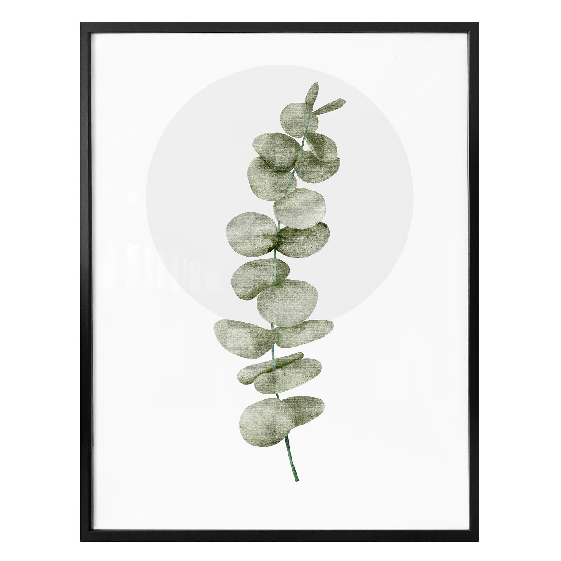 Plakat Kubistika - Eukaliptus