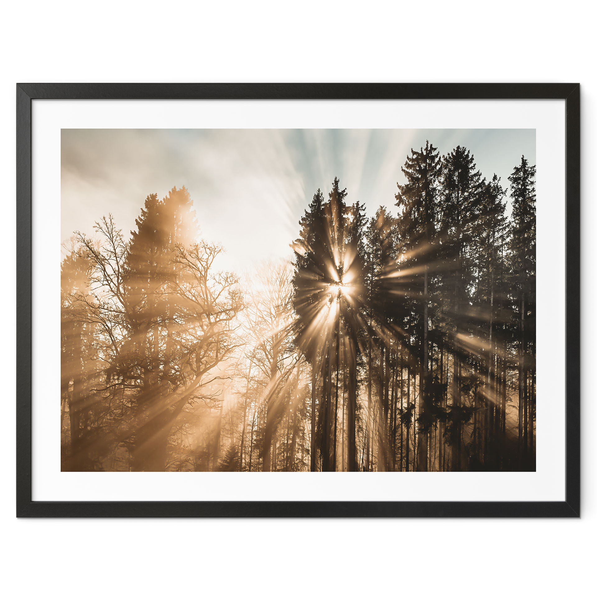 Poster Nature Rayons lumineux dans la forêt - Eisenmann