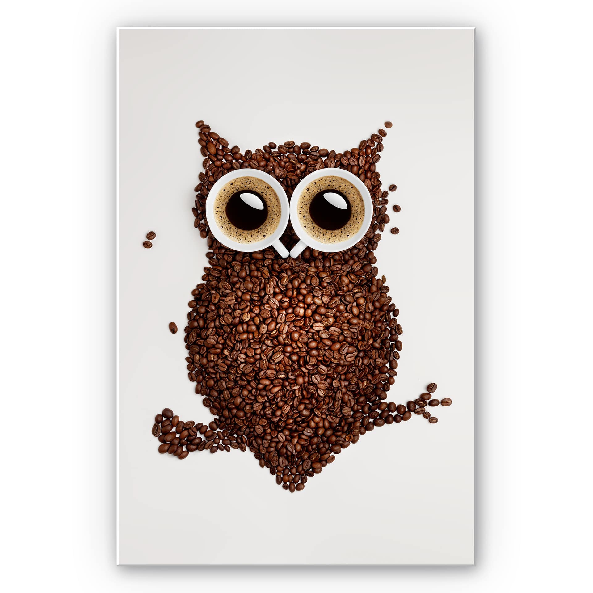 Tableau Forex - Hibou café
