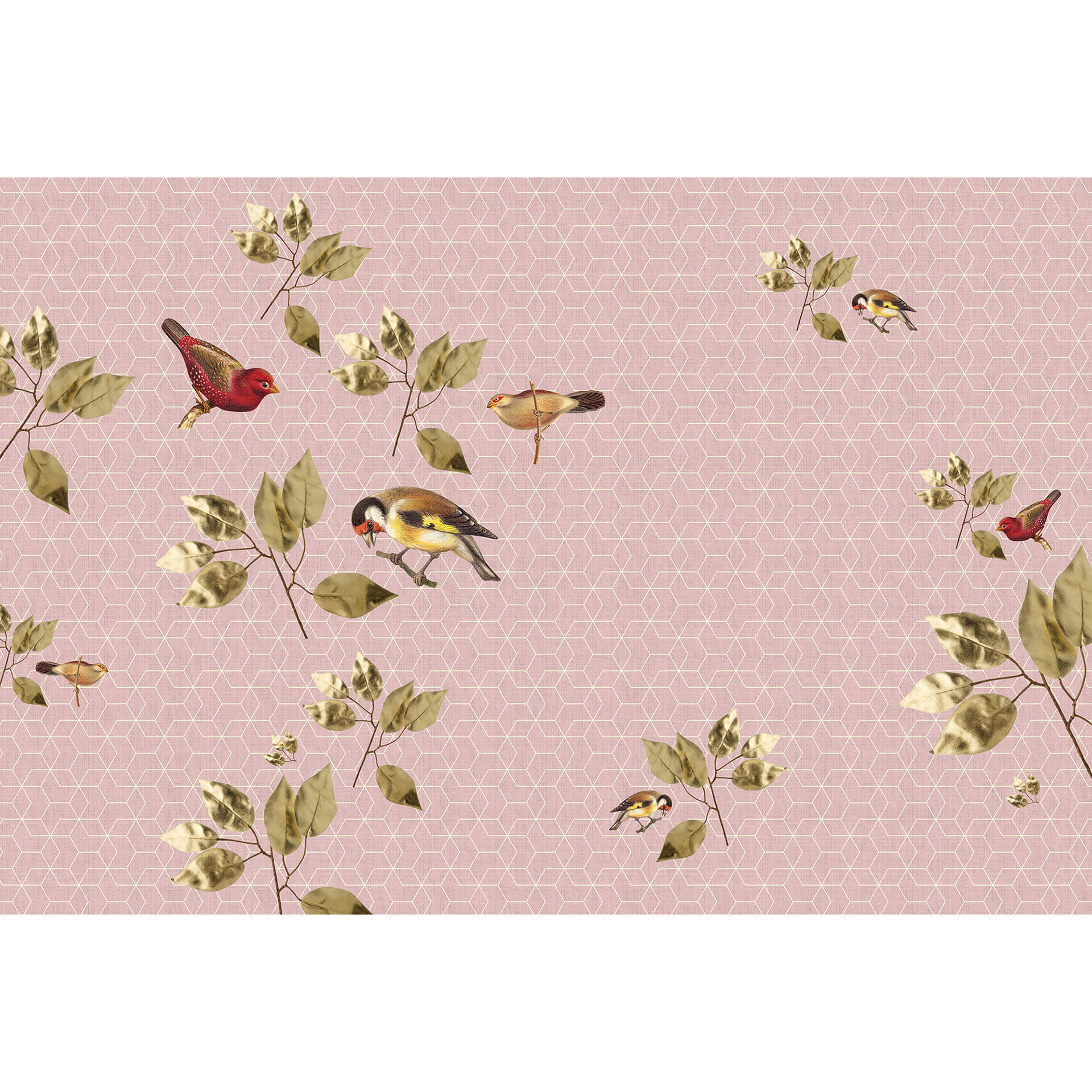 Livingwalls Fotobehang Walls by Patel 2 brilliant birds 1