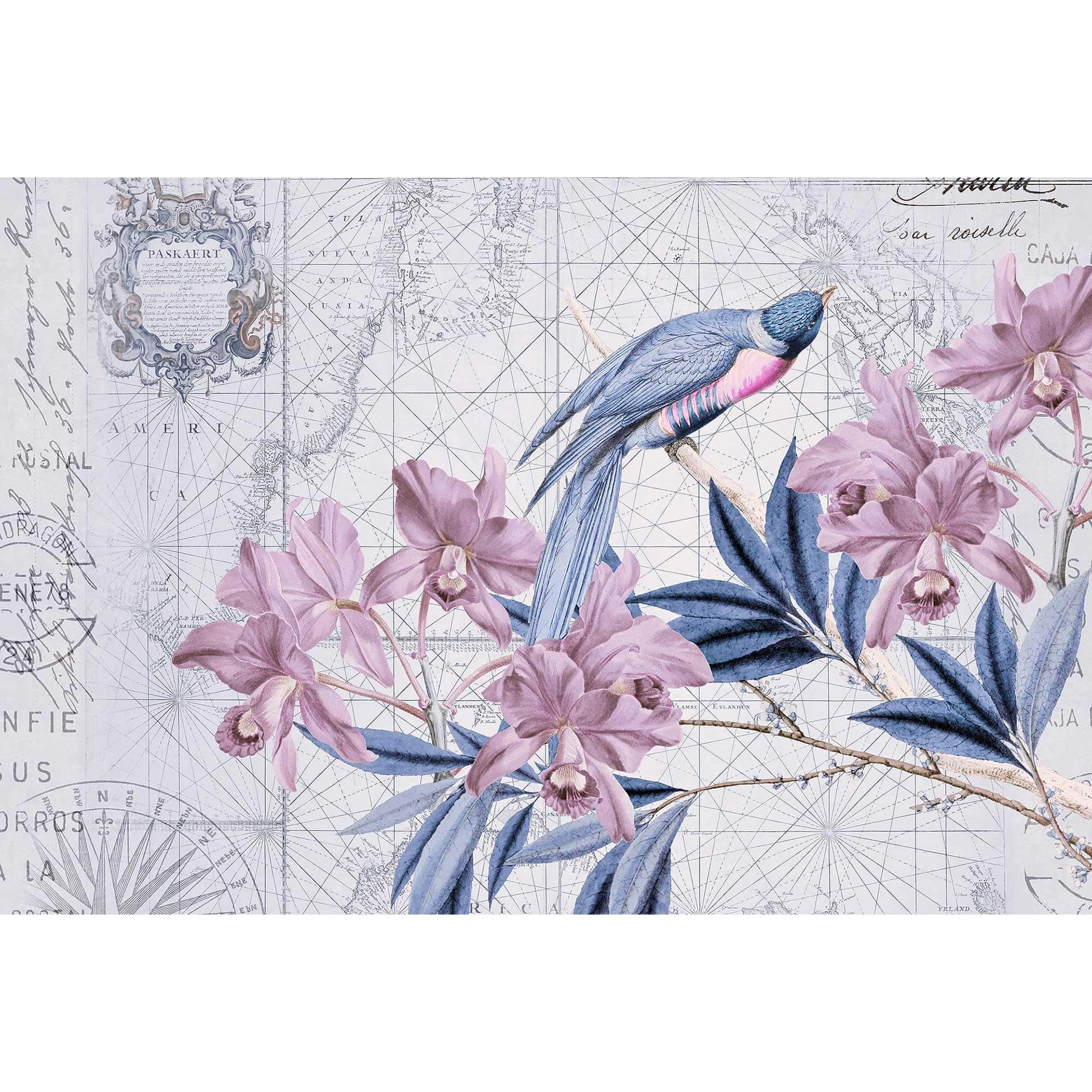 Livingwalls Fotobehang ARTist Bird Discovery