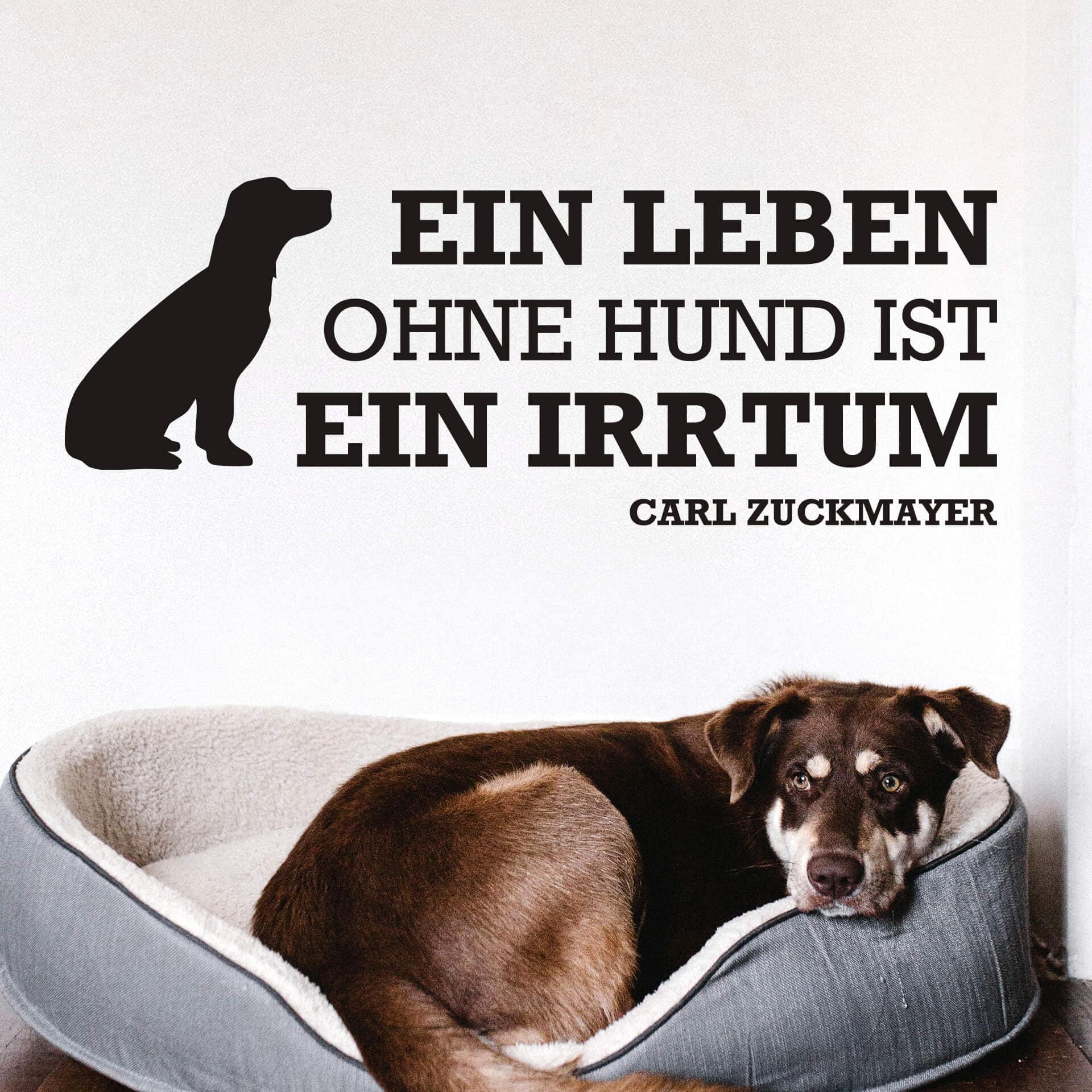Wandtattoo Ein Leben ohne Hund...