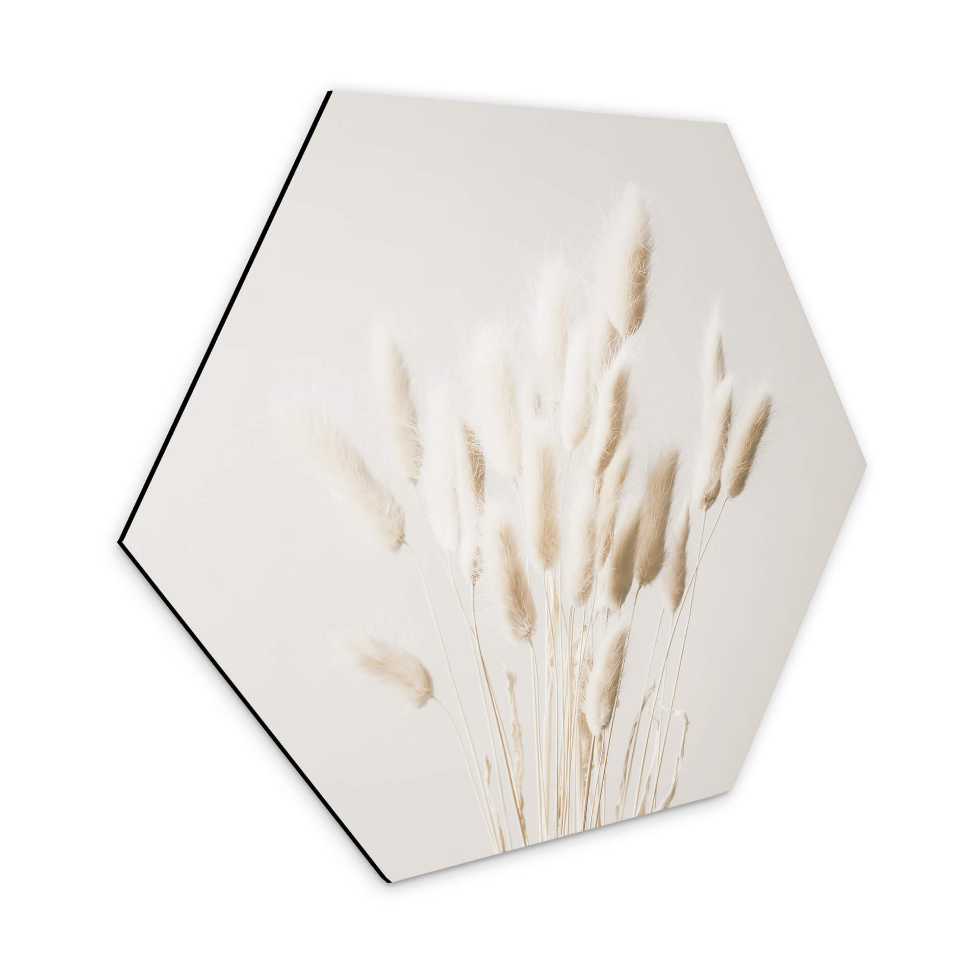 Hexagone - Alu-Dibond 1X Studio - Herbes séchées