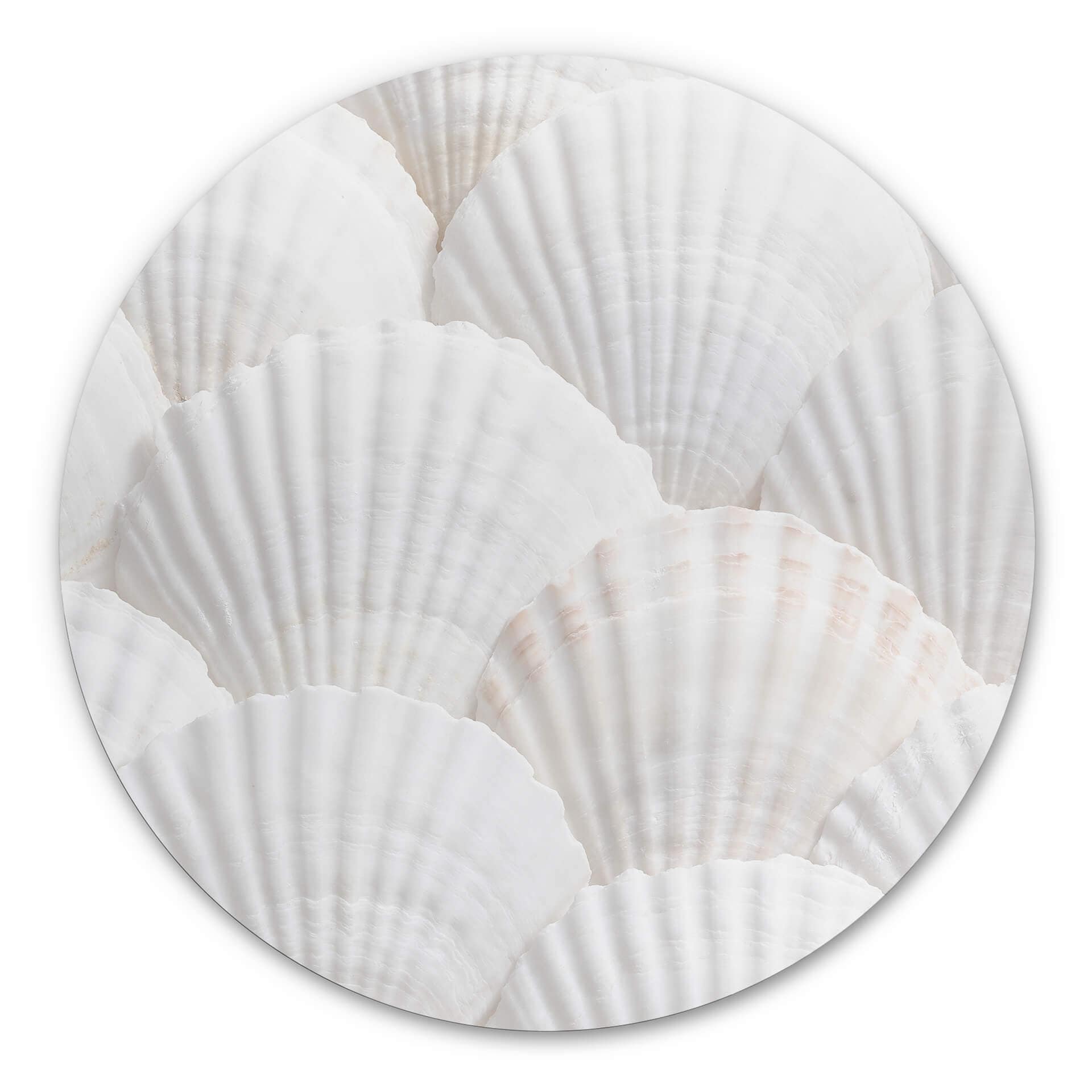 Tableau sur alu-Dibond rond 1X Studio - Coquillages