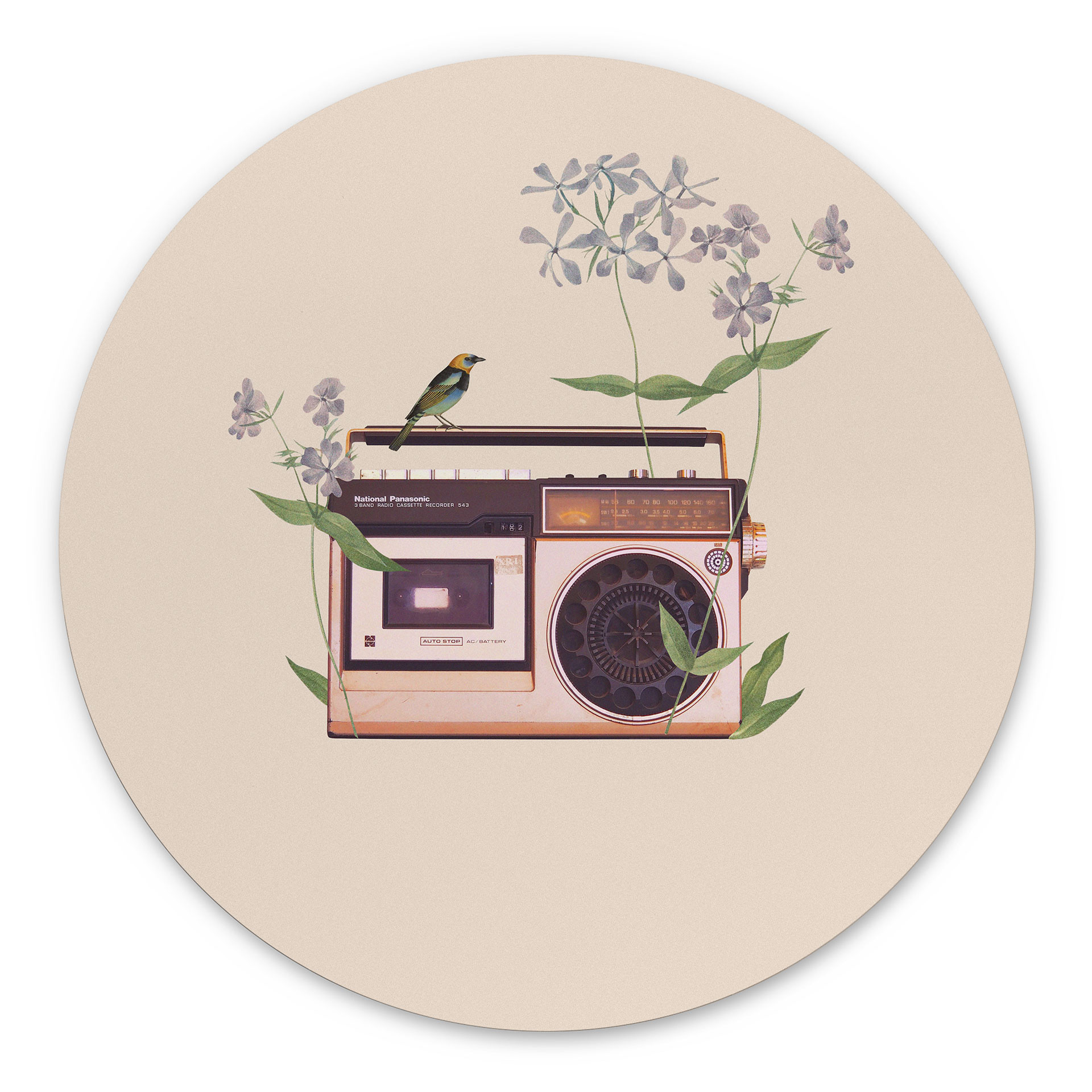 Wandbild Retro Radio floral - Frida Floral Studio - Alu-Dibond - Rund