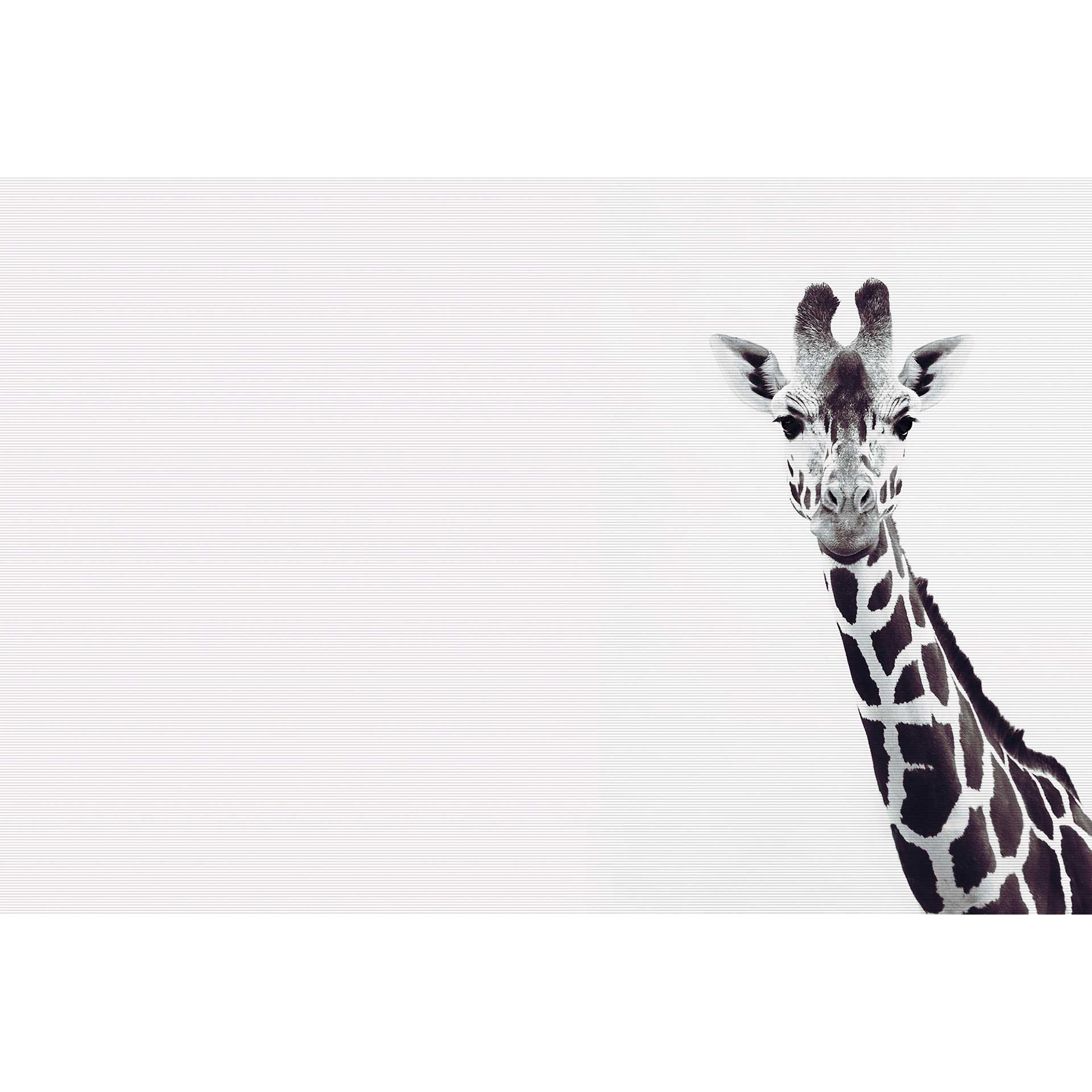 Livingwalls Fotobehang ARTist Giraffe Portrait