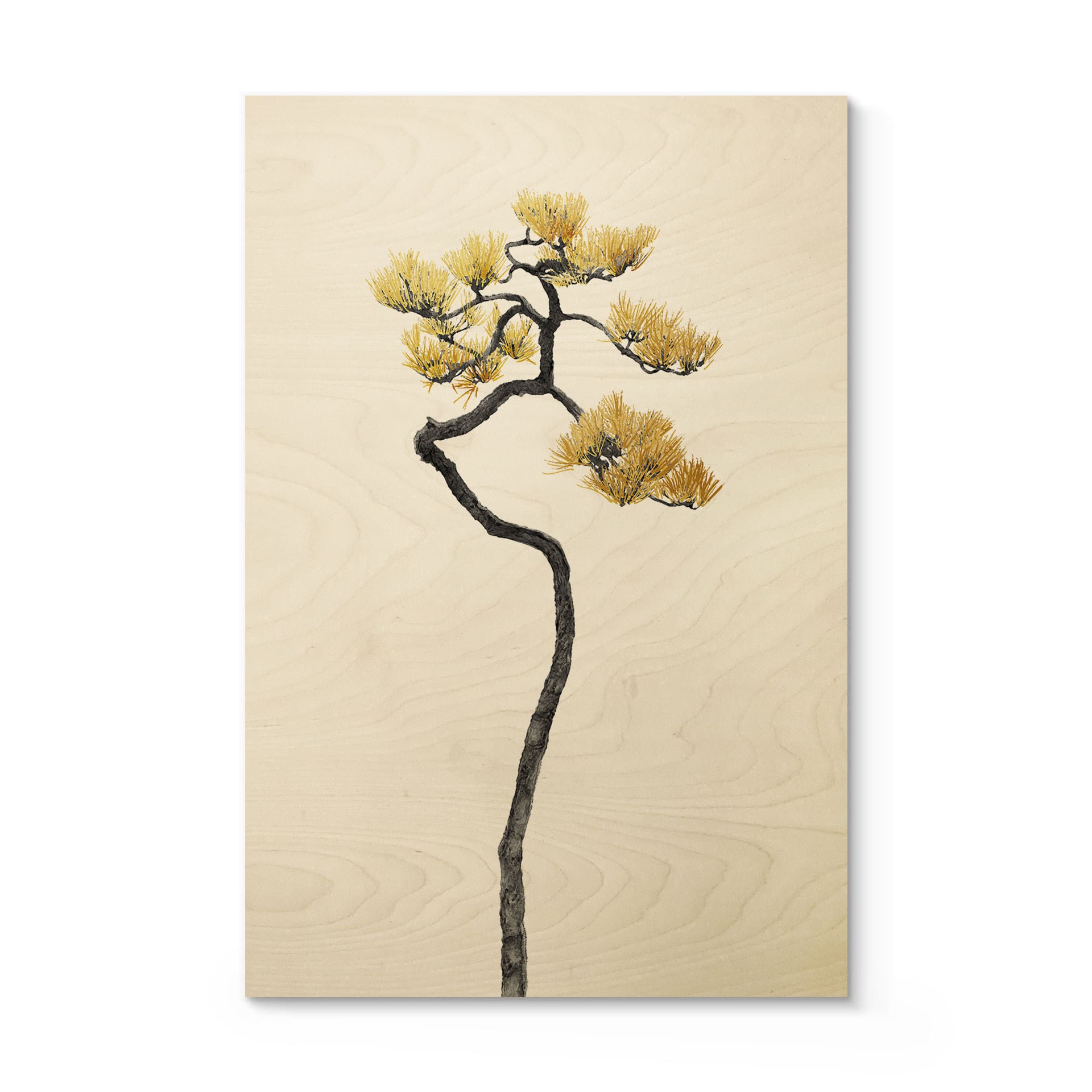Stampa su legno Bonsai in equilibrio - Amini