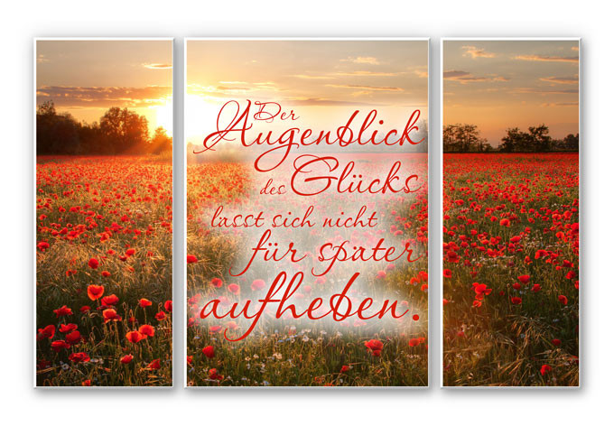 Wandbild Der Augenblick des Glücks (3-teilig)