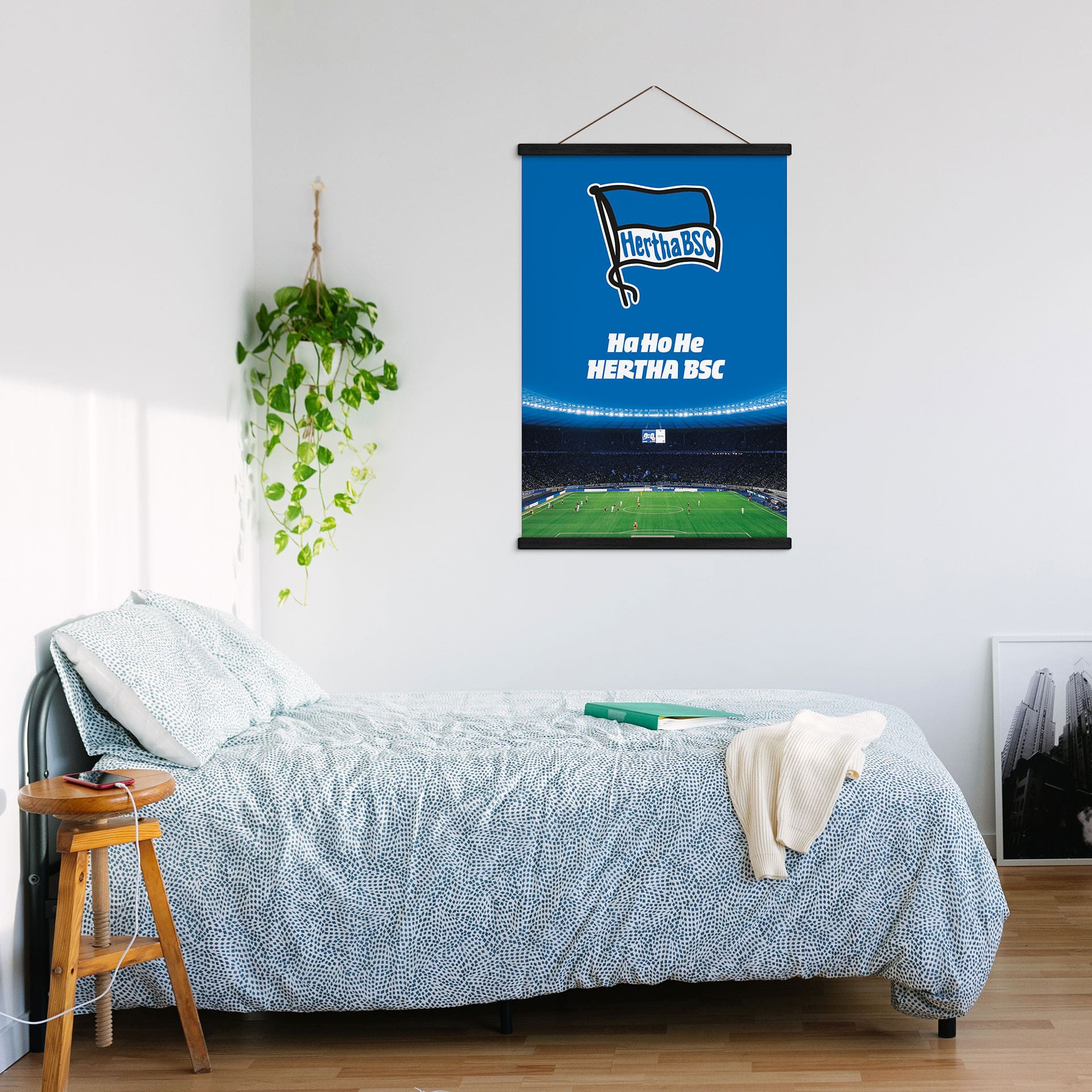 Stoffbild Hertha BSC - HaHoHe
