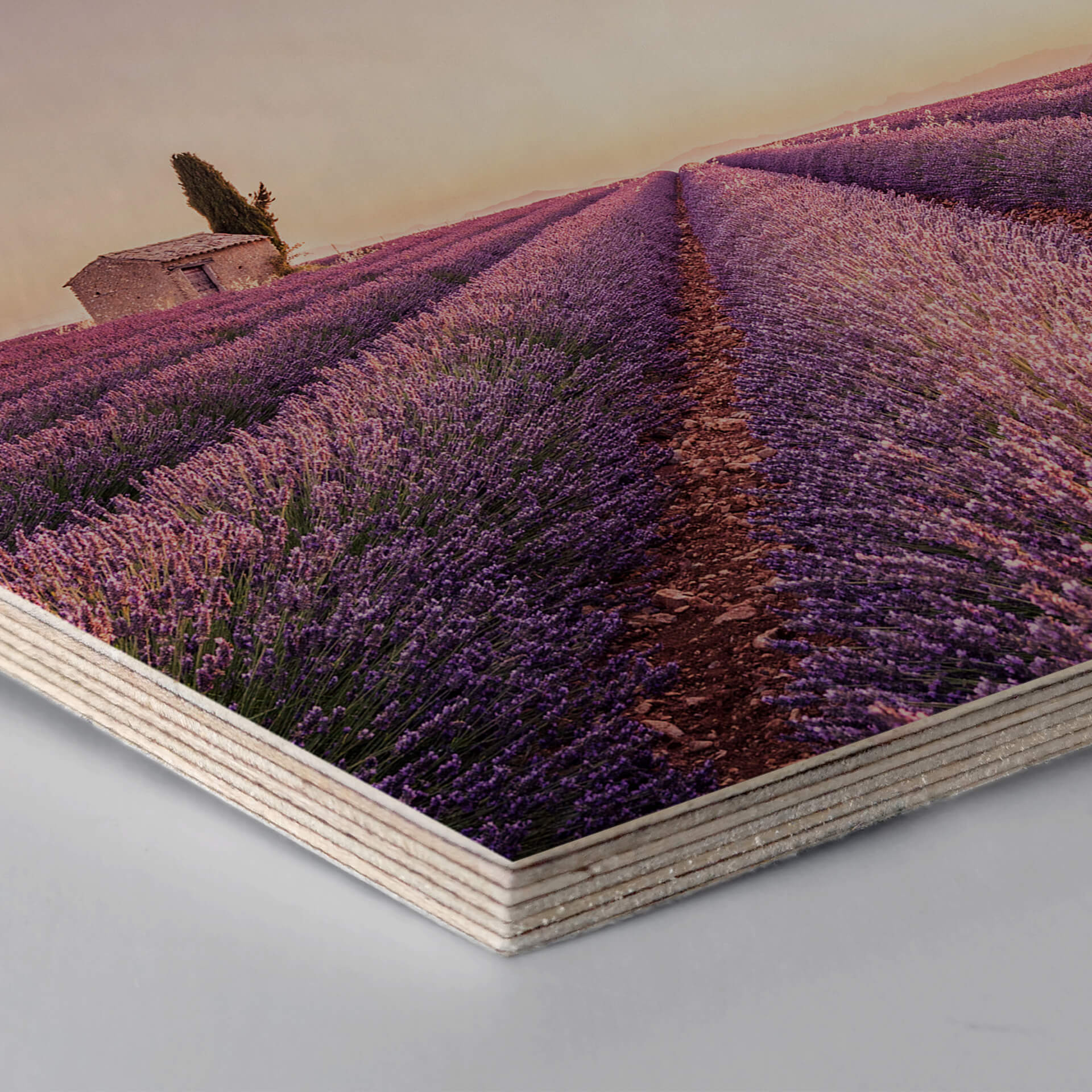 Hexagon - Birketræ - Lavendel