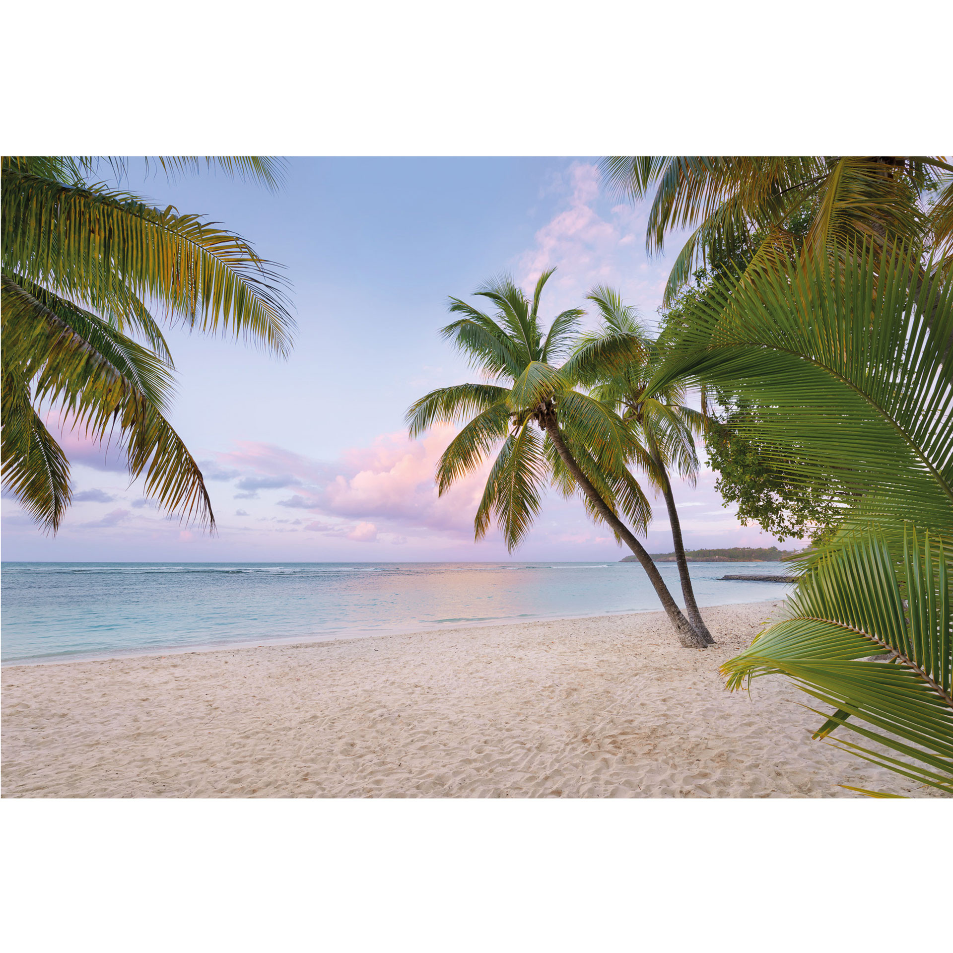 Fotobehang Vliesbehang Paradise Morning