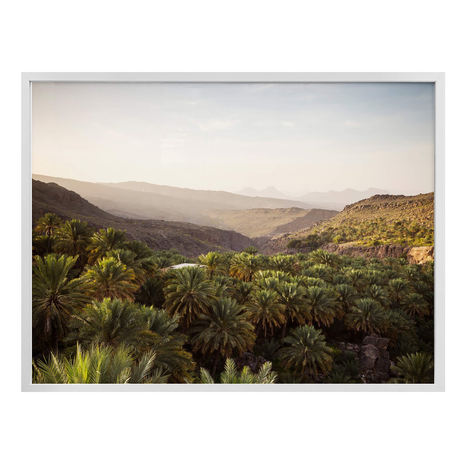 Poster Colombo - Oasis à Oman