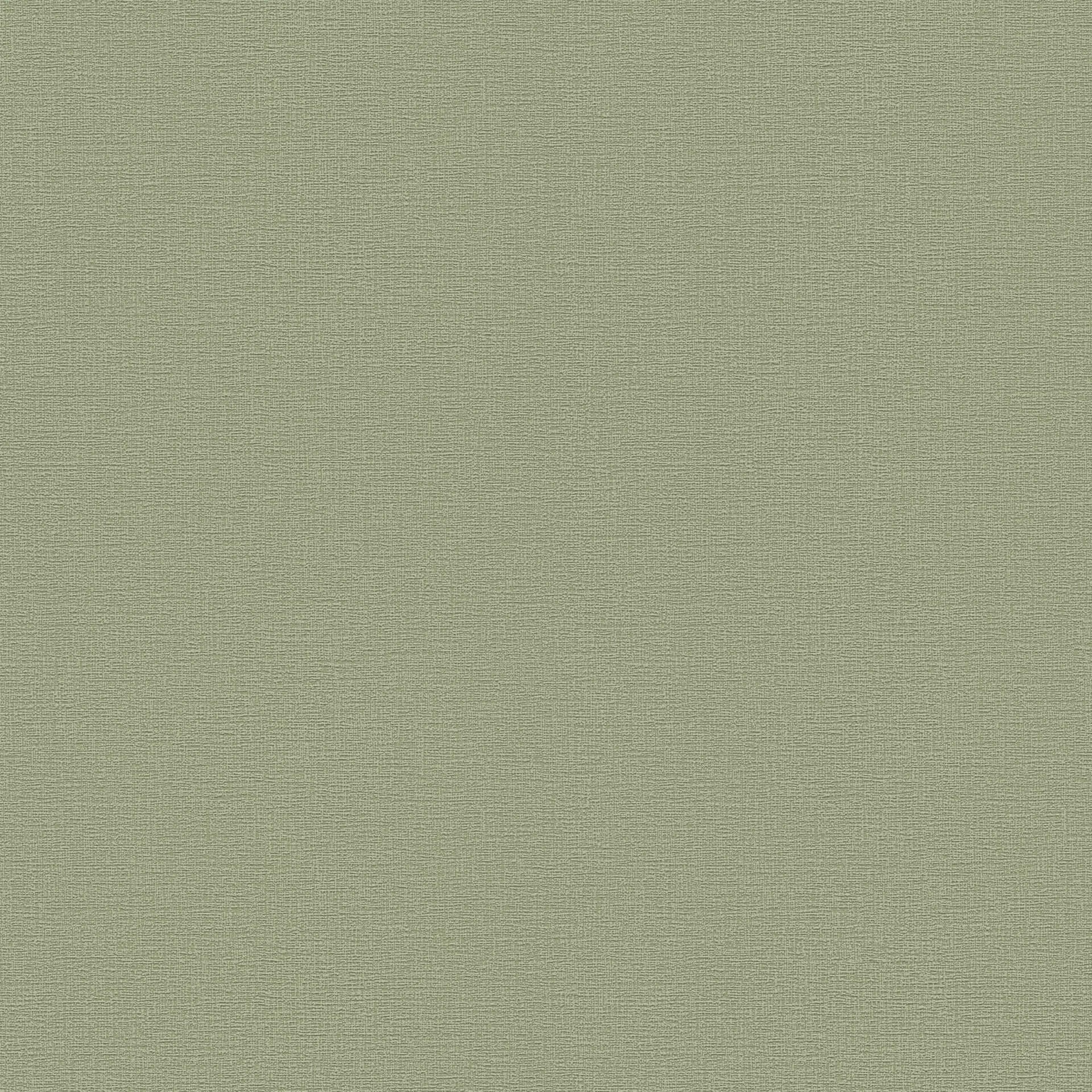 A.S. Création Vliesbehang Greenery