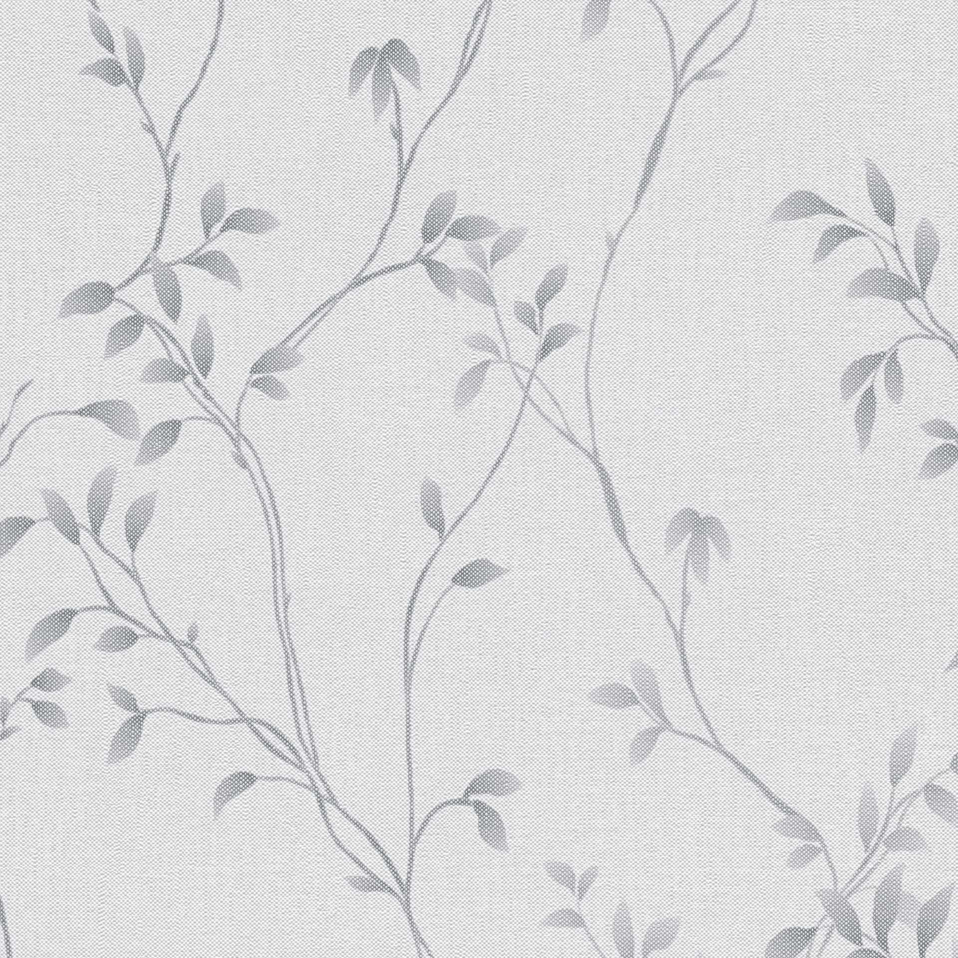 Próbki