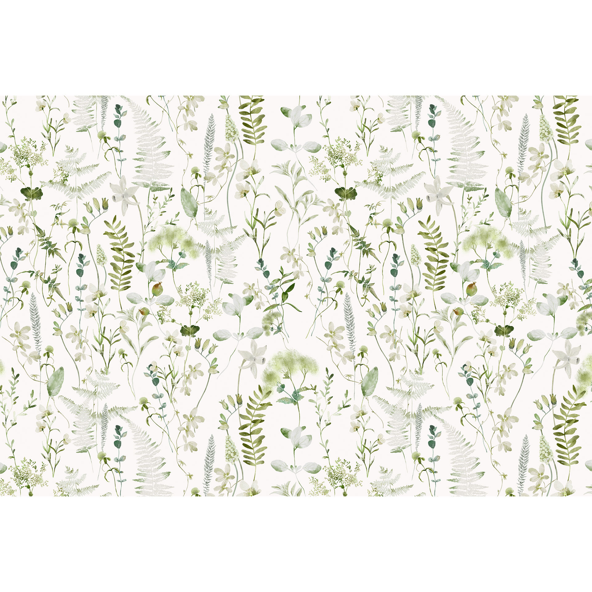 Fotobehang Kruiden en wilde bloemen - UN Designs