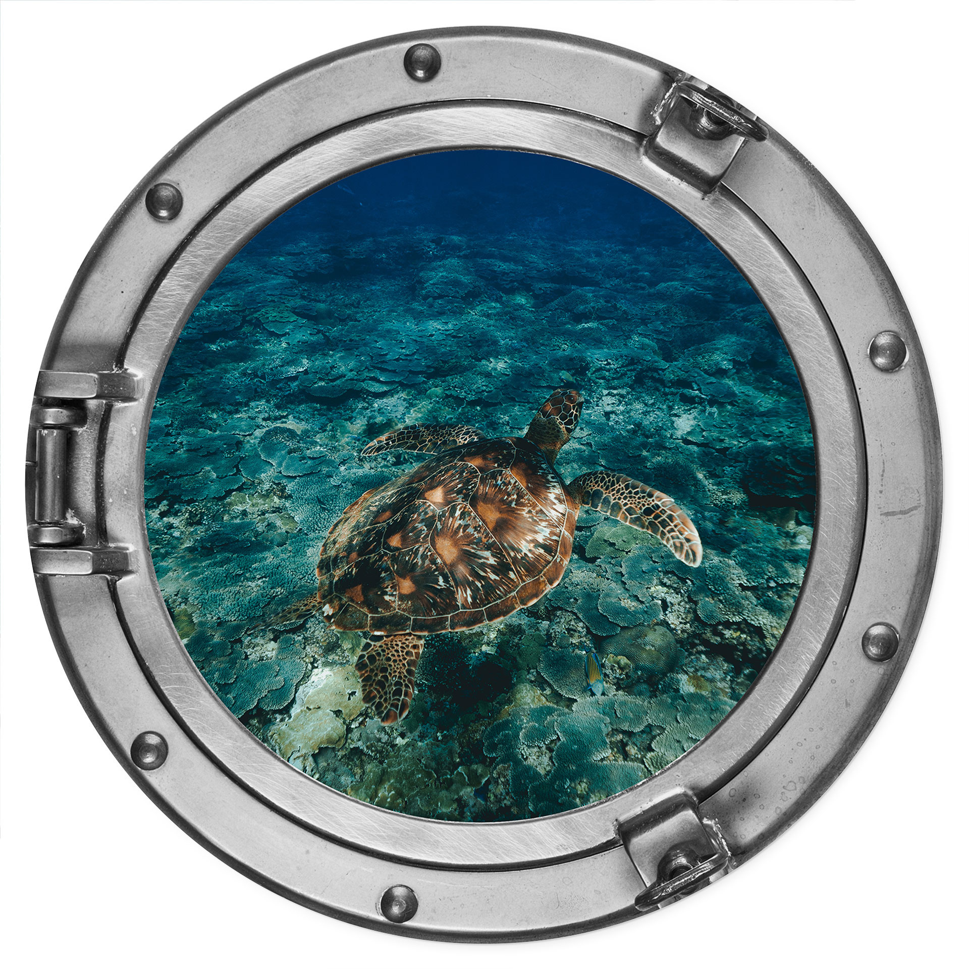 Wandtattoo 3D Optik - Schildkröte von oben - Rund